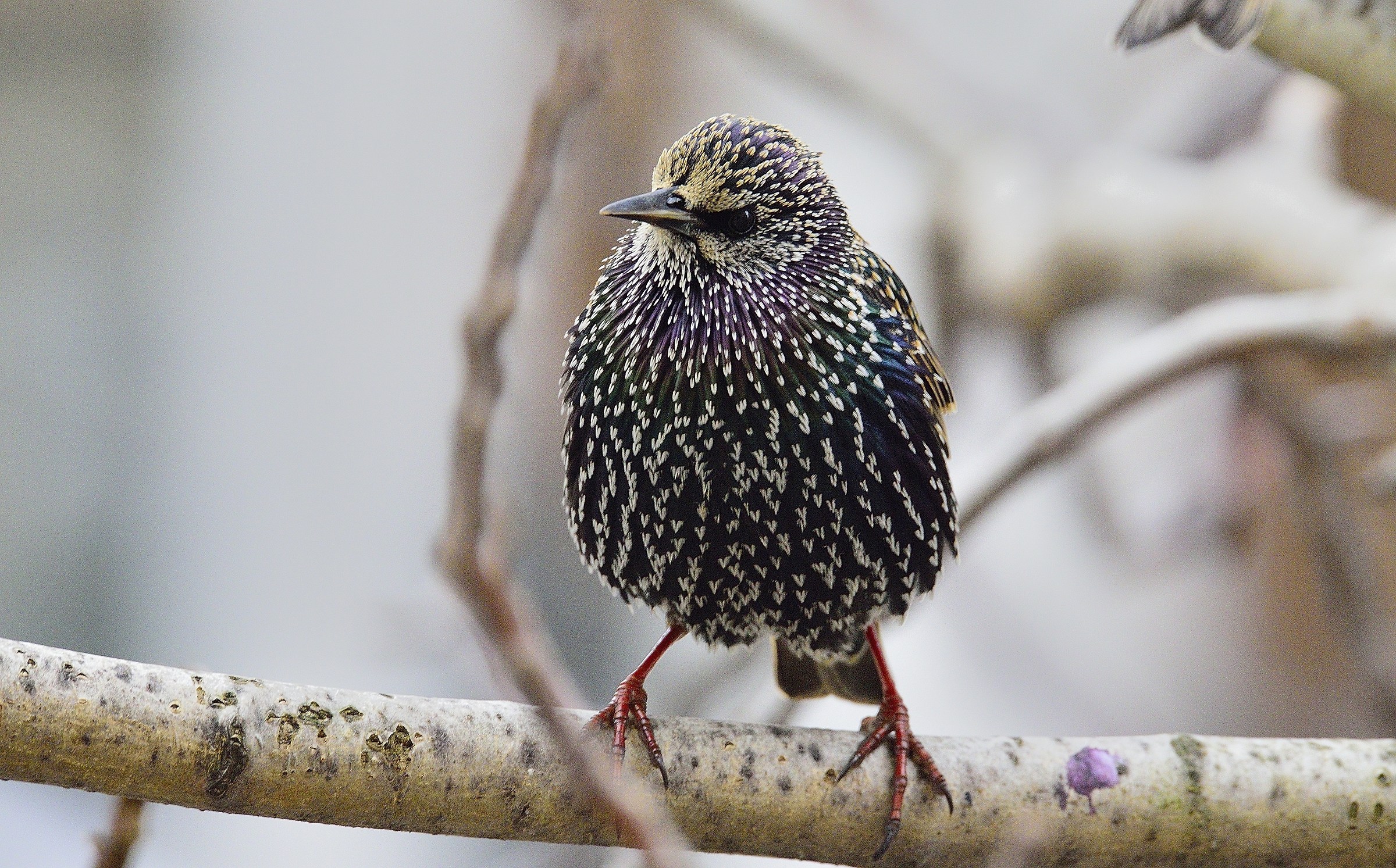 Tra edifici brutti..