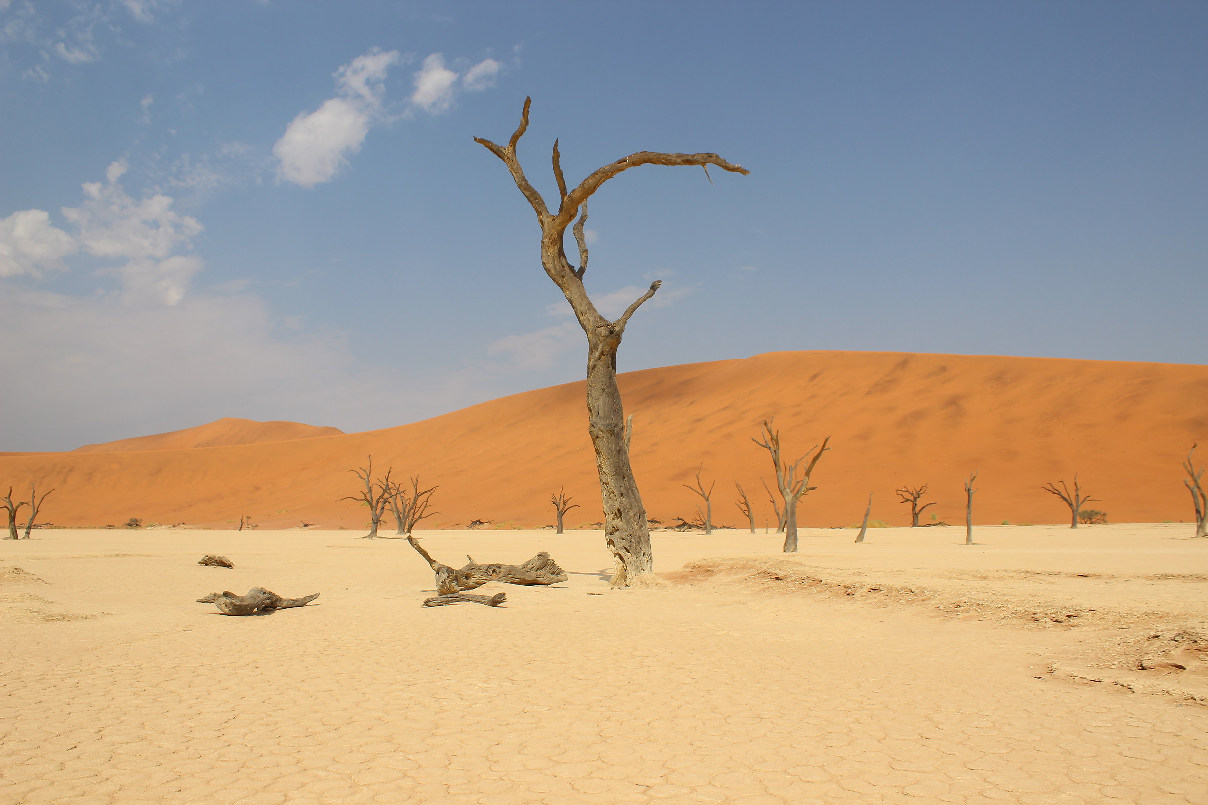 sossusvlei