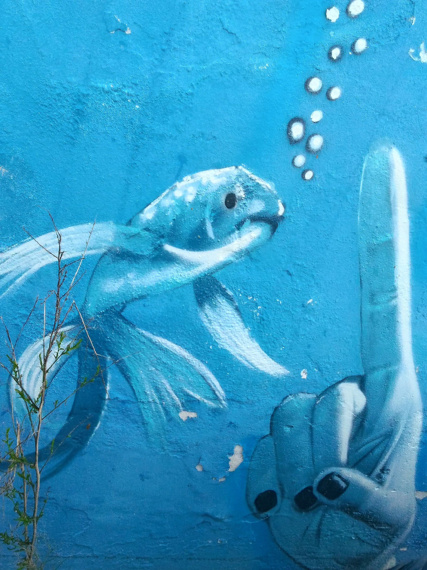 Silence.... water in the mouth