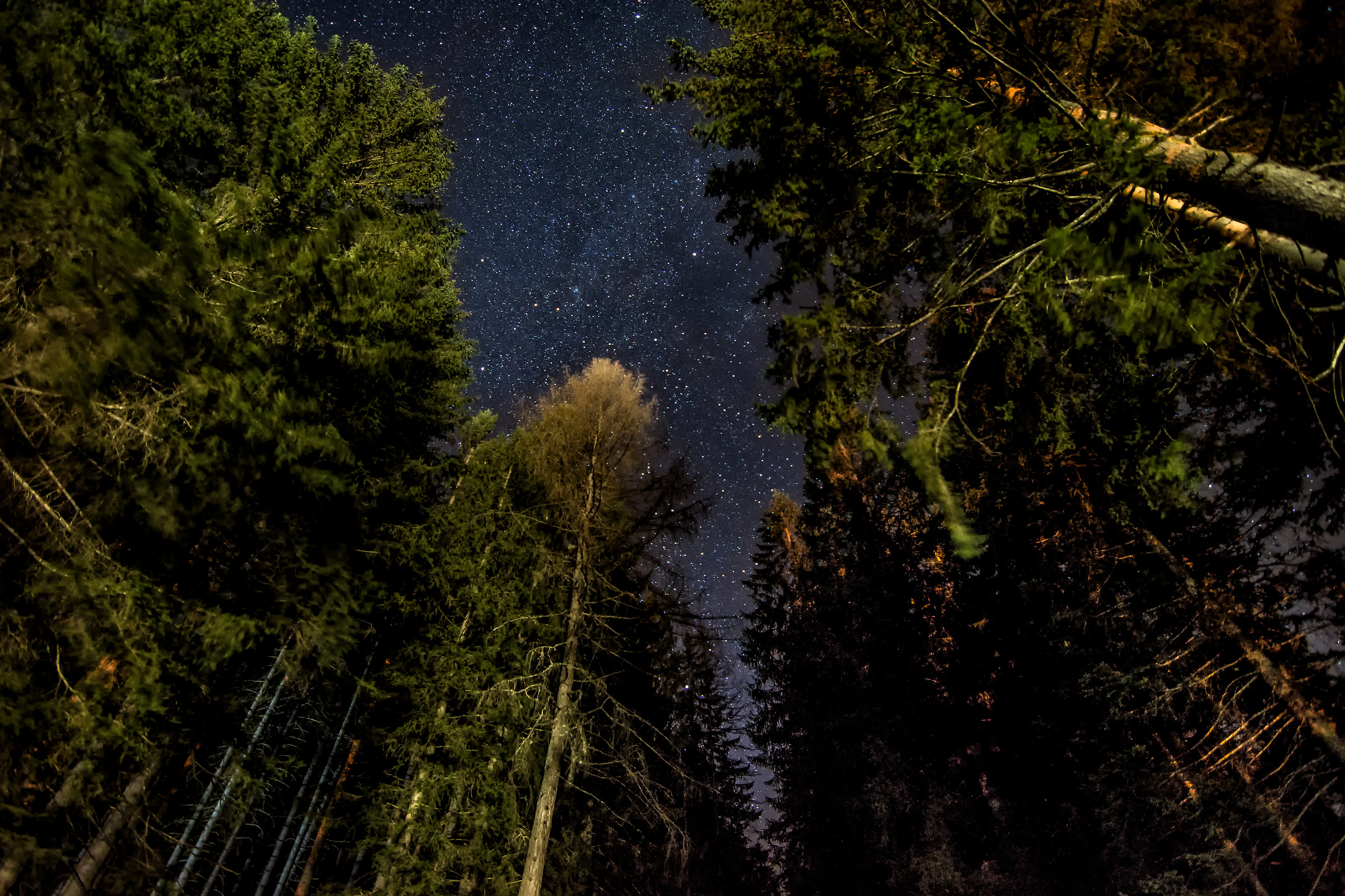 Correspondence of Amorous senses