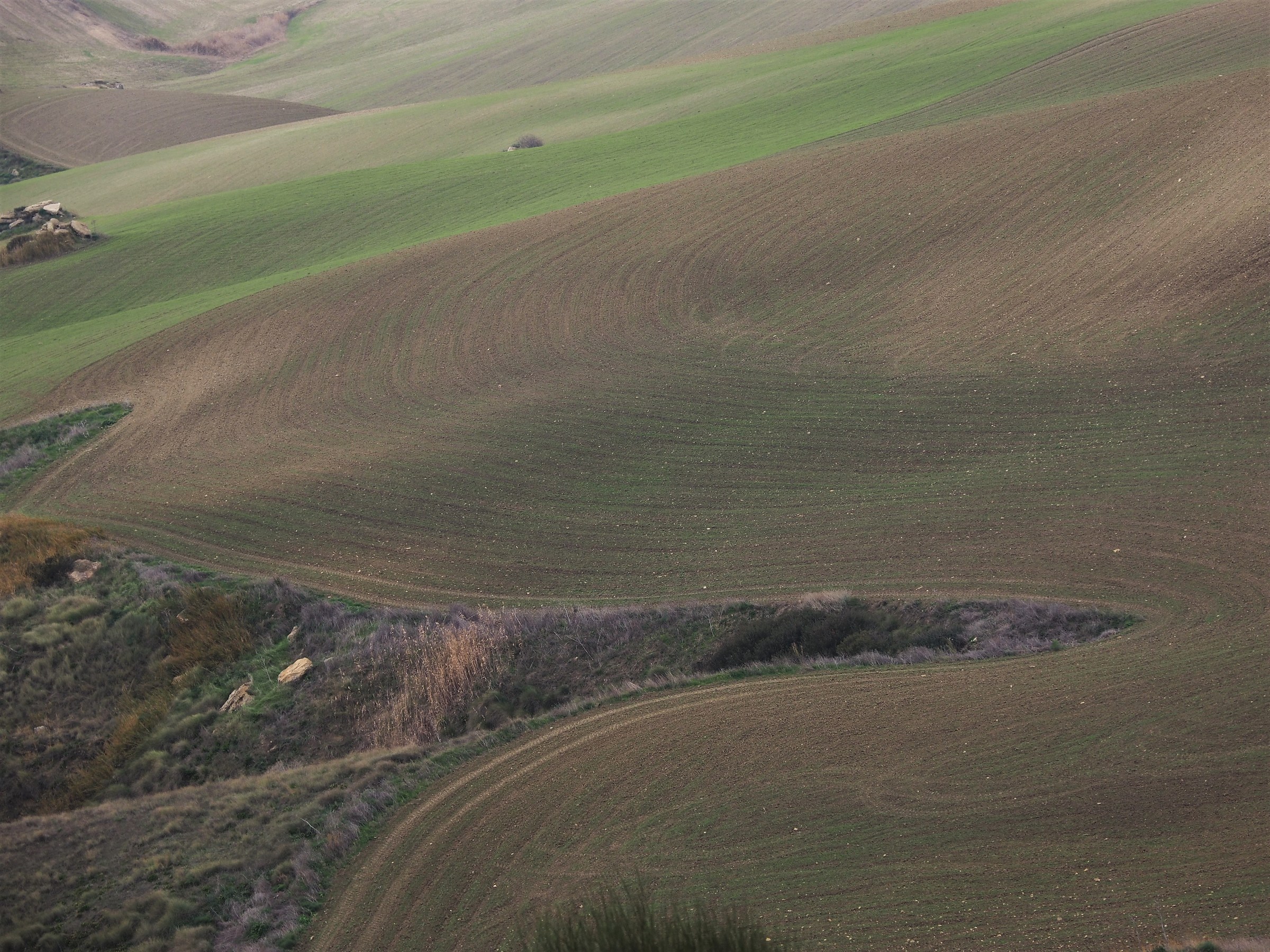il mare della murgia