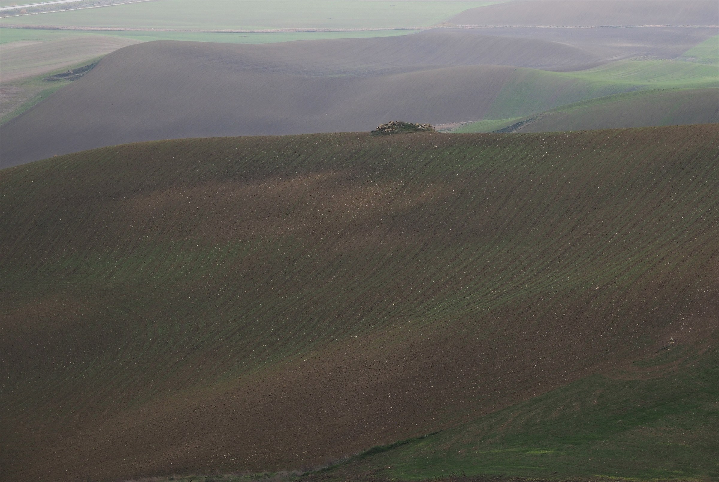 il mare della murgia 2