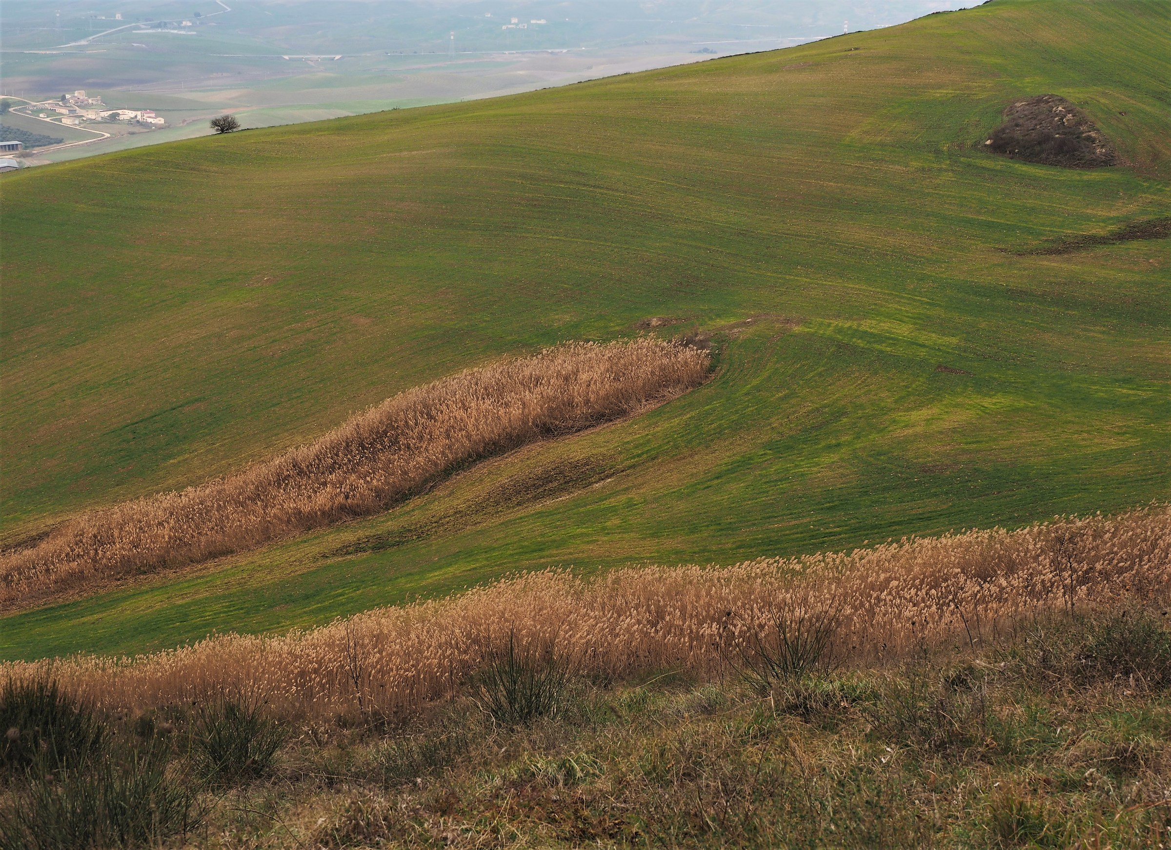 il mare della murgia 3