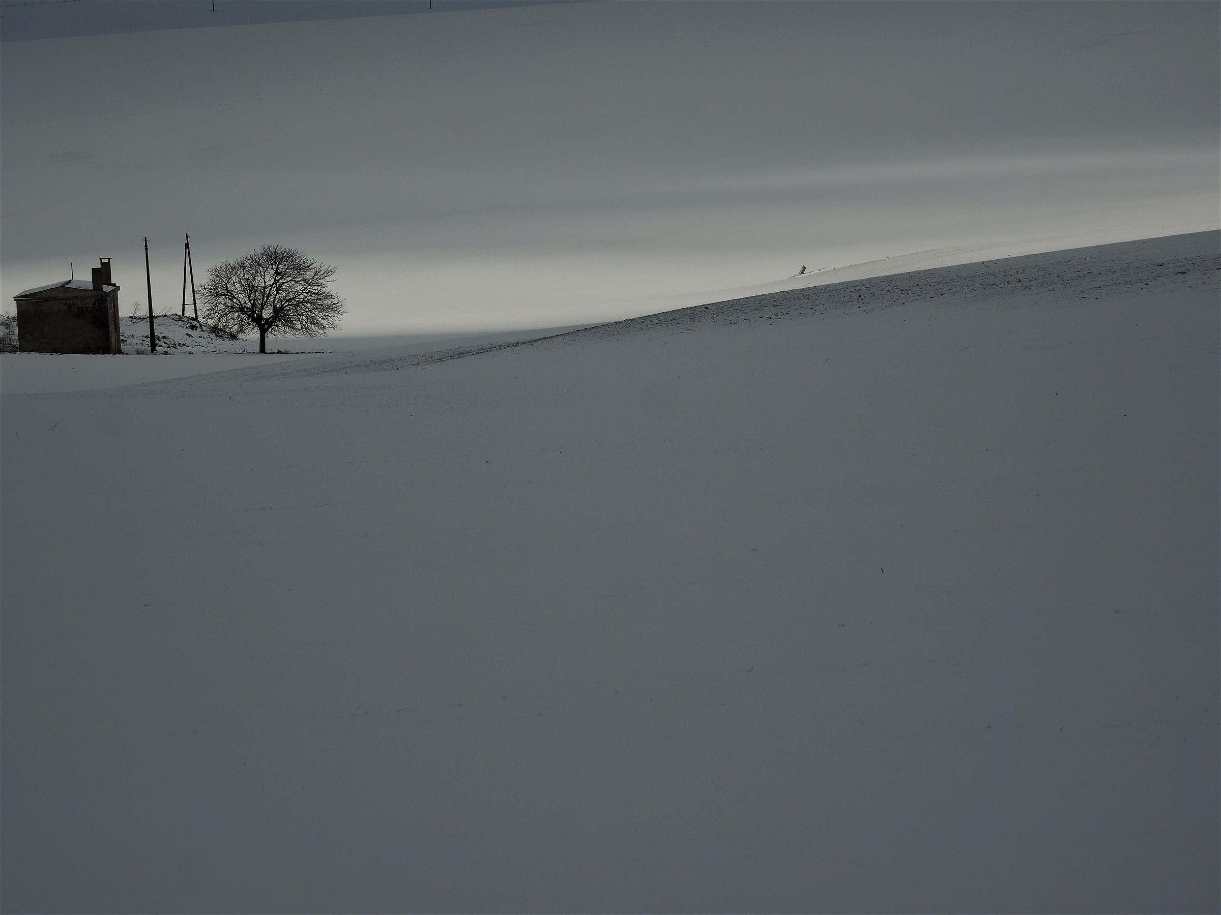 Paesaggio con neve 1