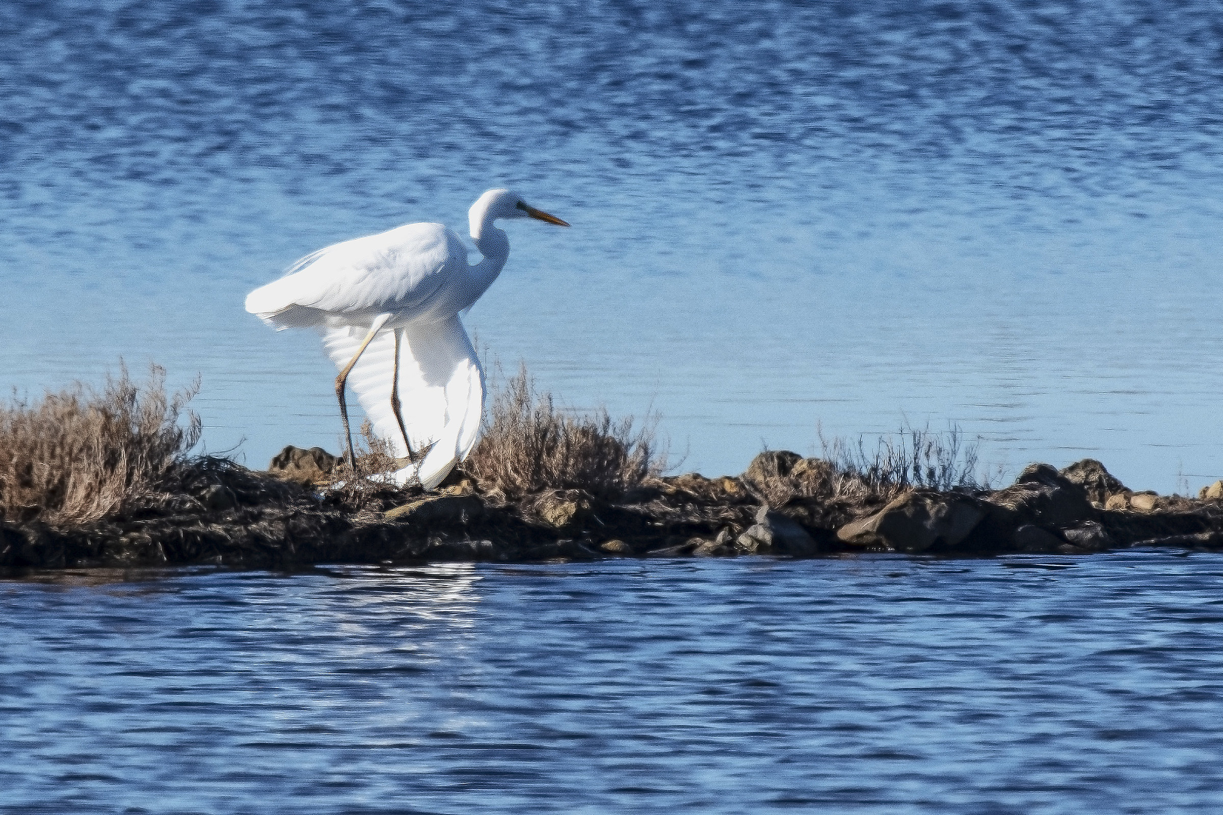 Distressful tripping in the broken wing