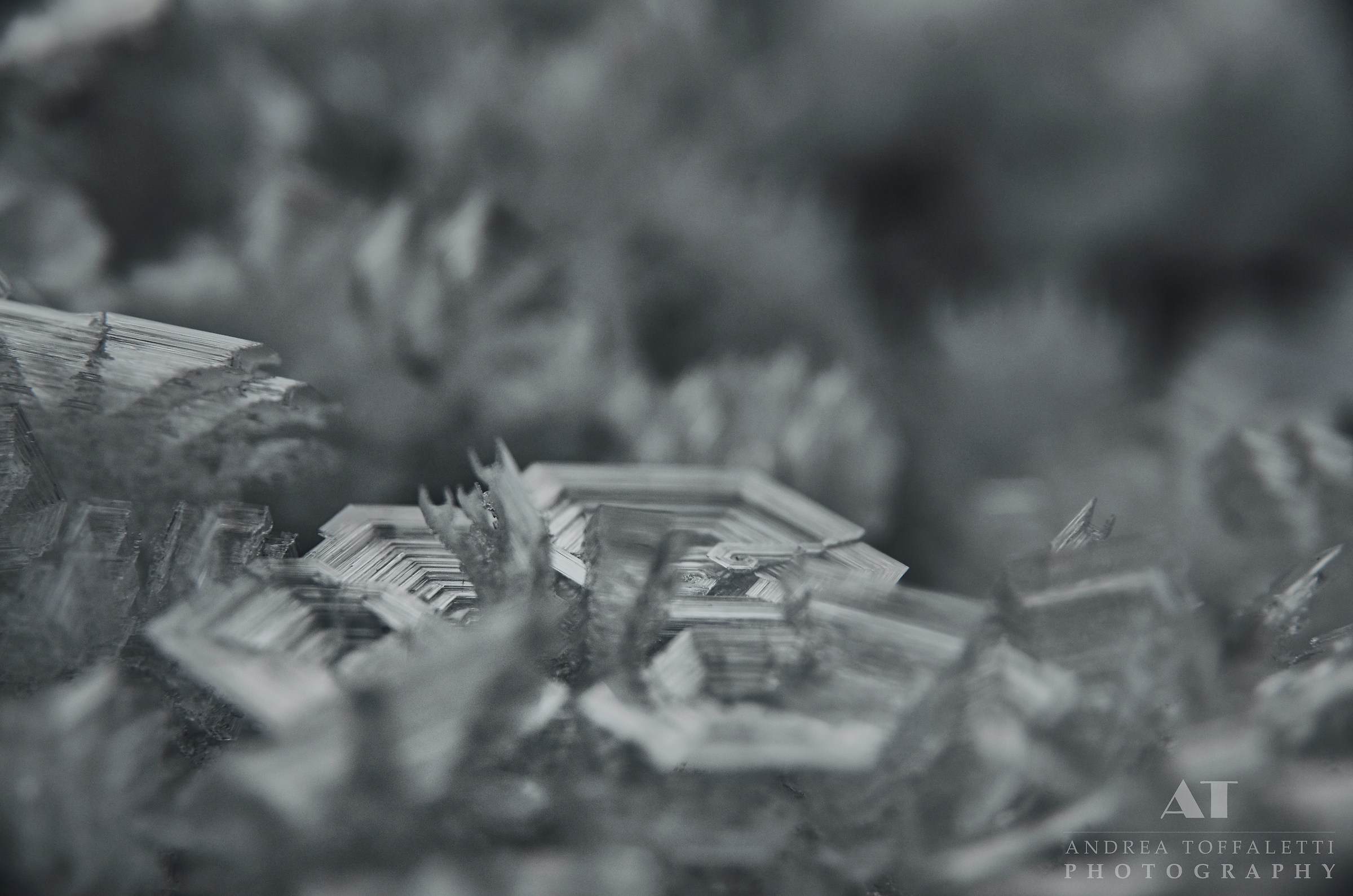 The Frost Geometry 2