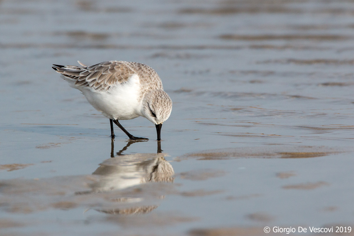 Specchio specchio delle mie brame