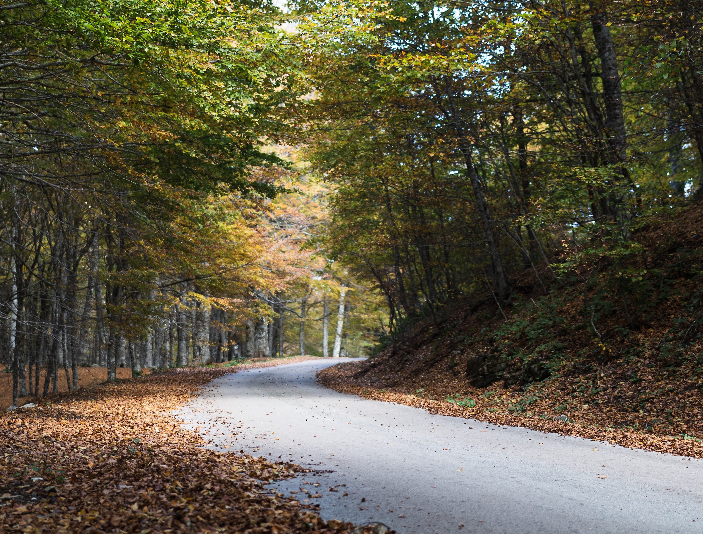 Strade dimenticate, Sellata, Parco Nazionale Appennino