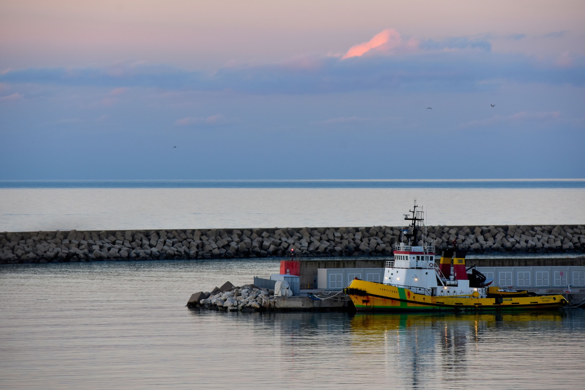 Dai,Stasera si Rimorchia...