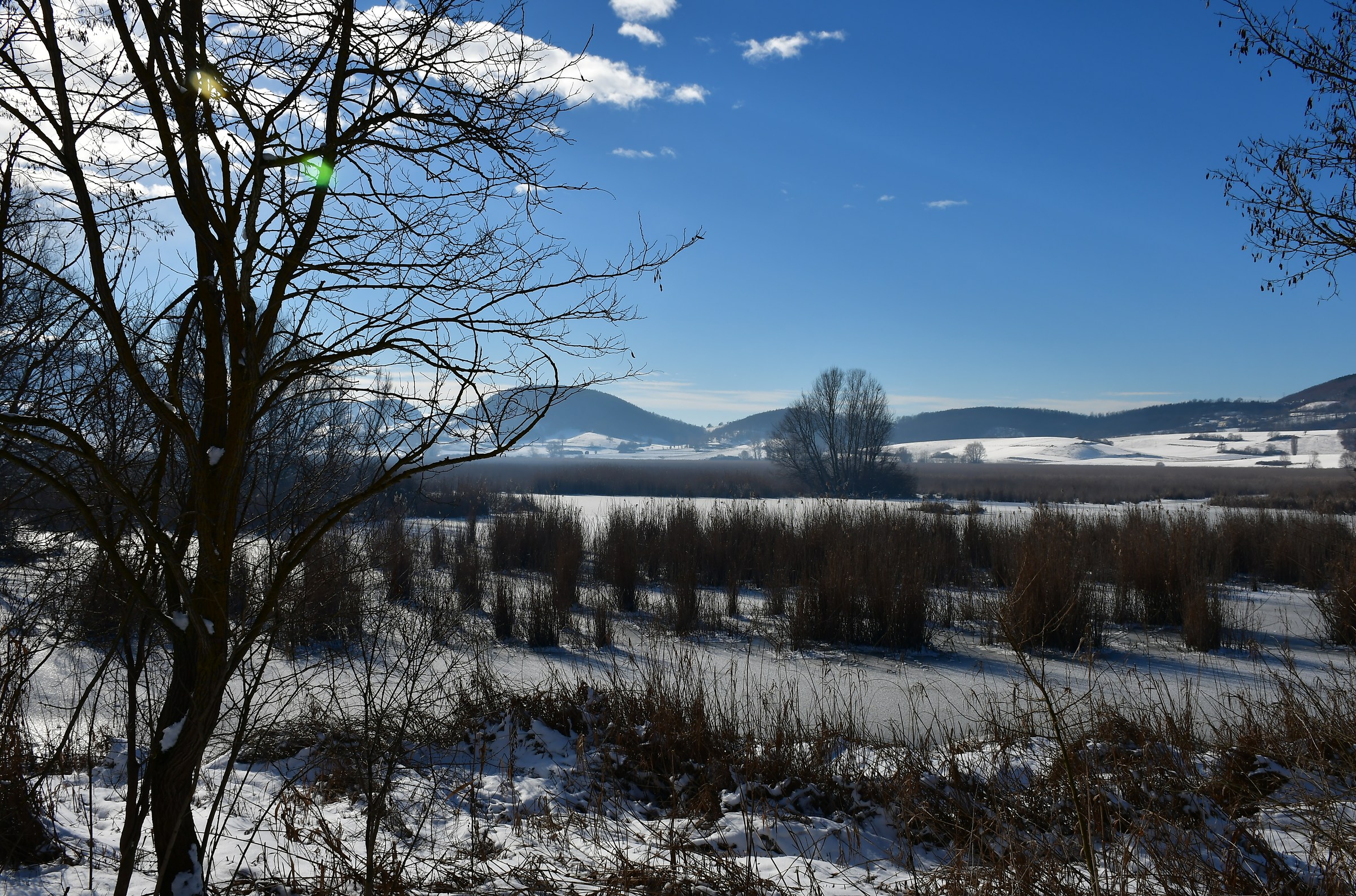 The Swamp of Colfiorito