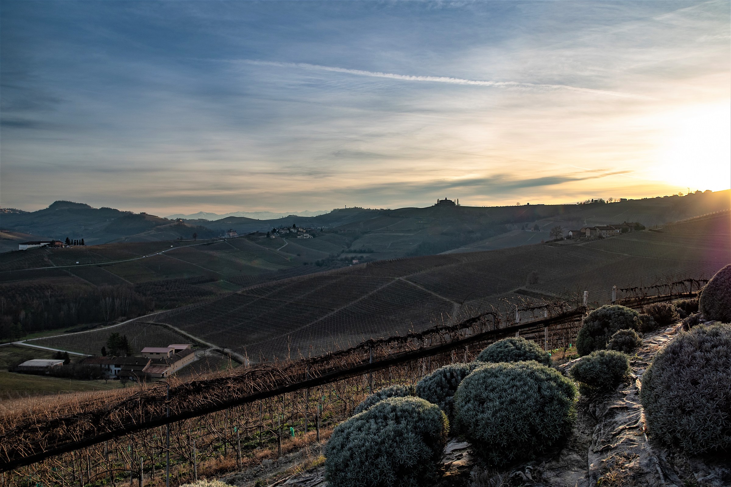 Sunset in Barolo