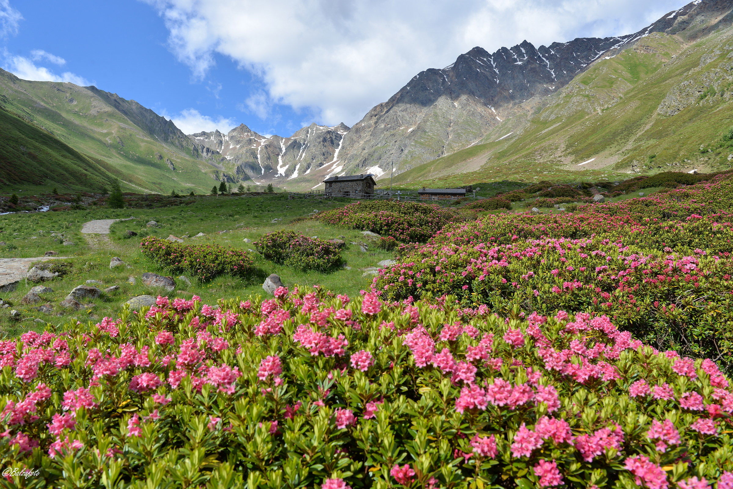 Spring in Val Grande to refuge Plas de L'asen