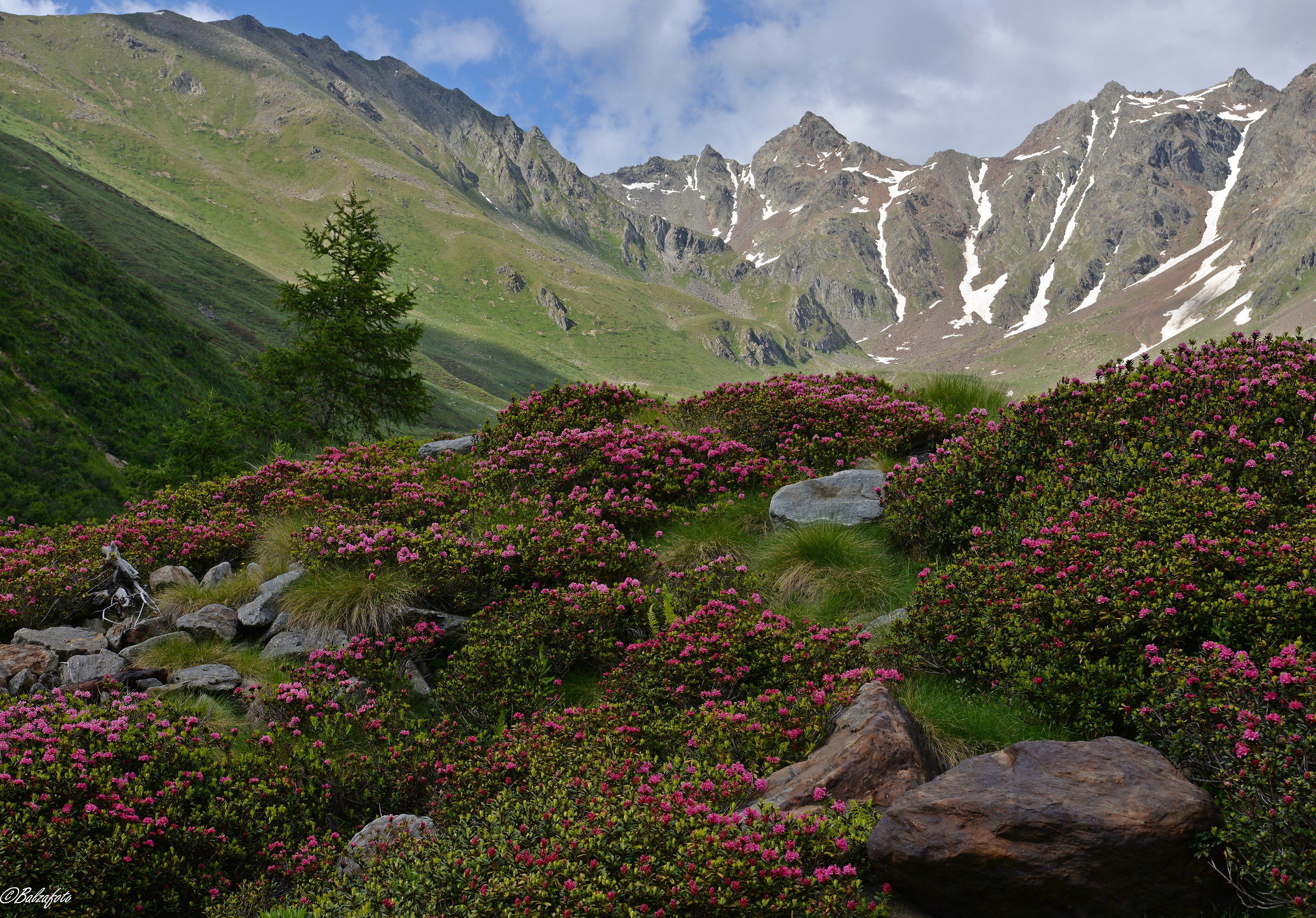 Spring in Val Grande