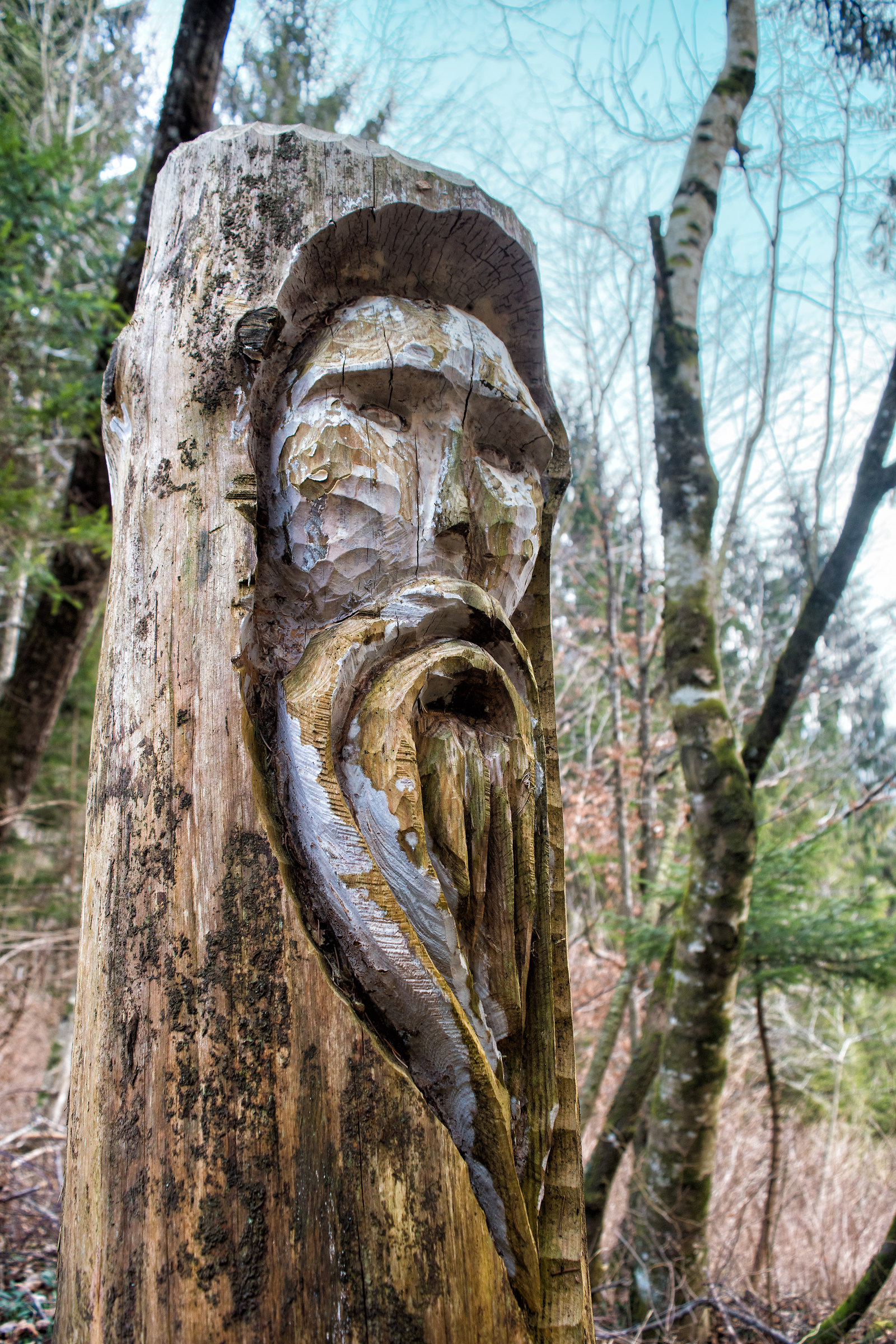 Ligneous face Val Canzoi