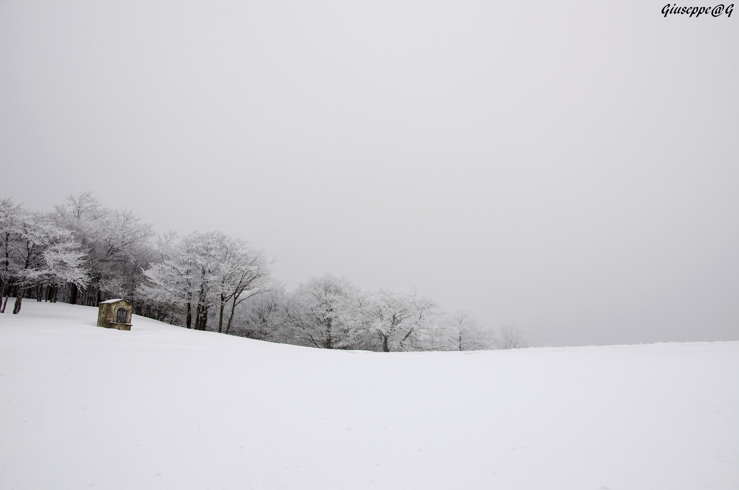 Candid and sacred...