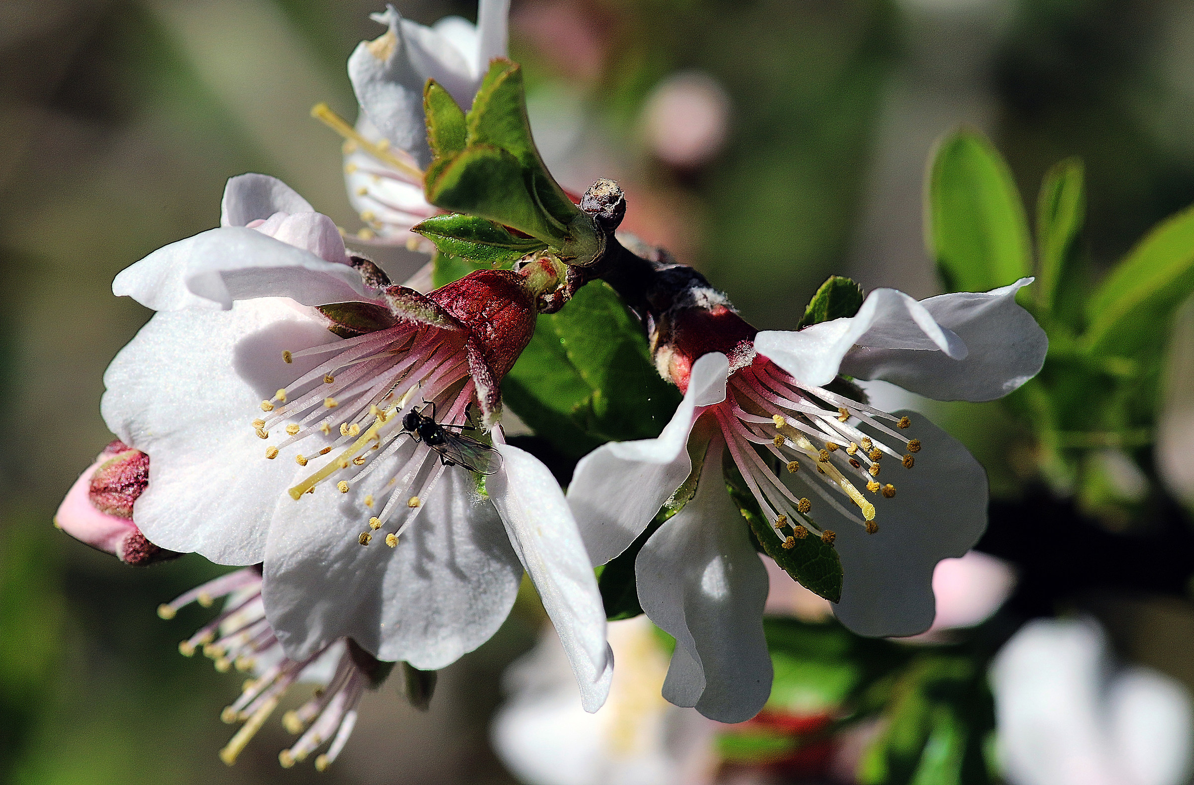 Basta un giorno di sole…