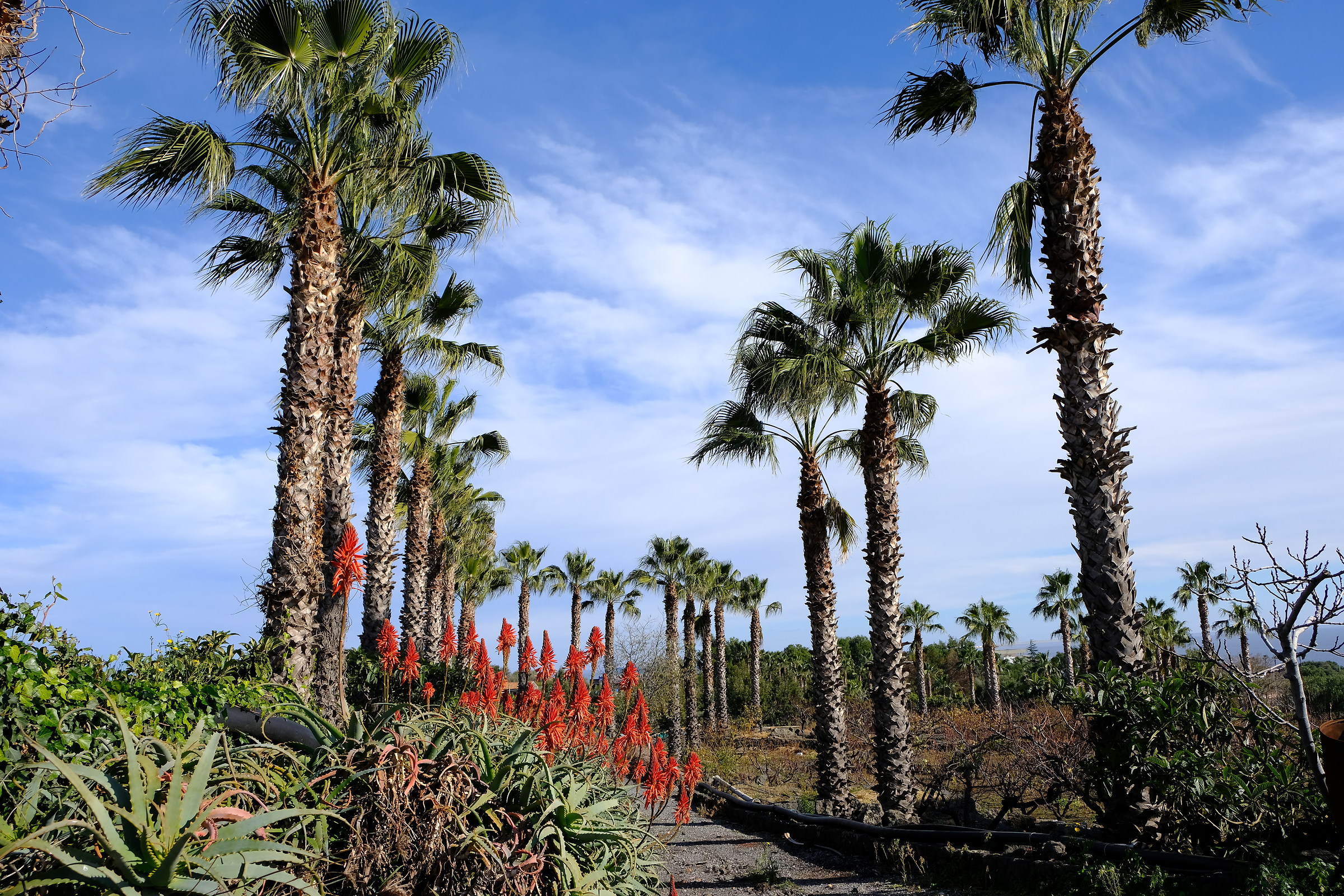 I colori della Sicilia