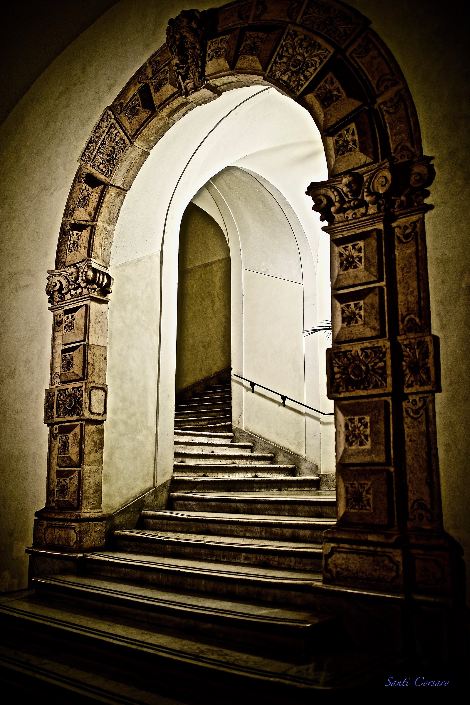 The path of education