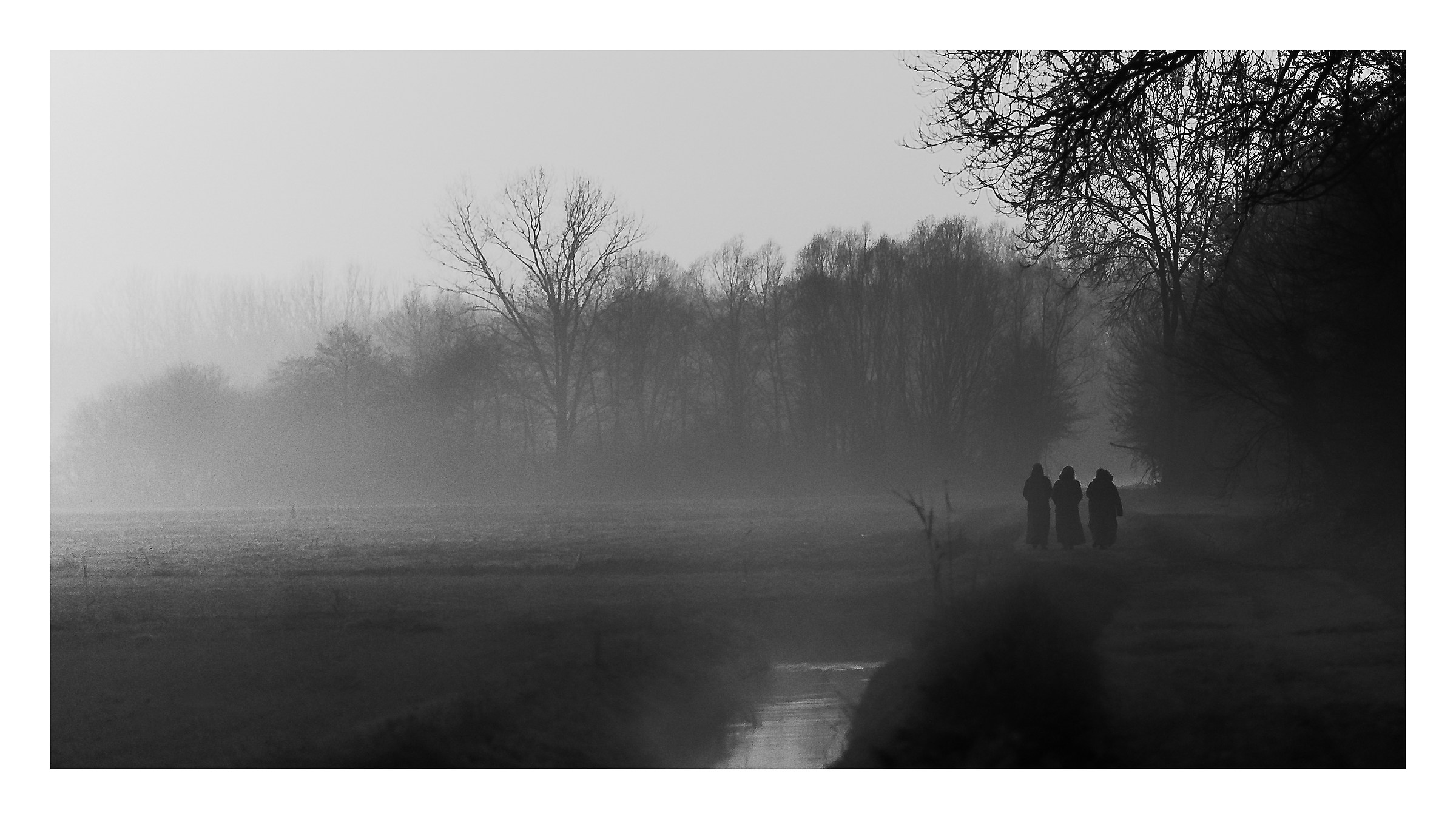 Suorine nella nebbia