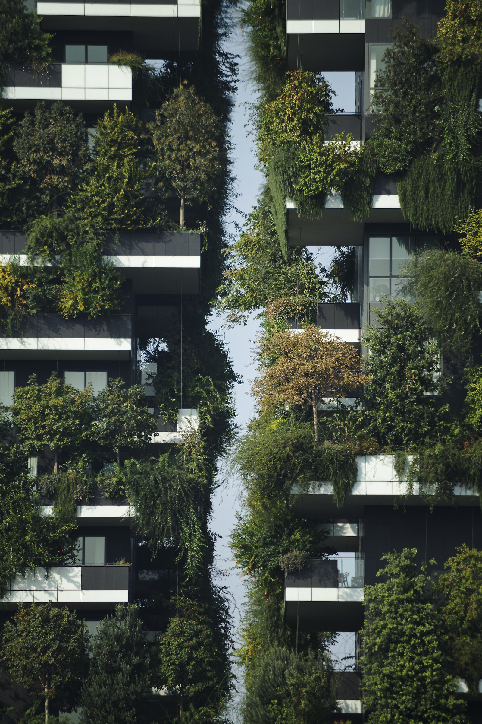 Bosco Verticale