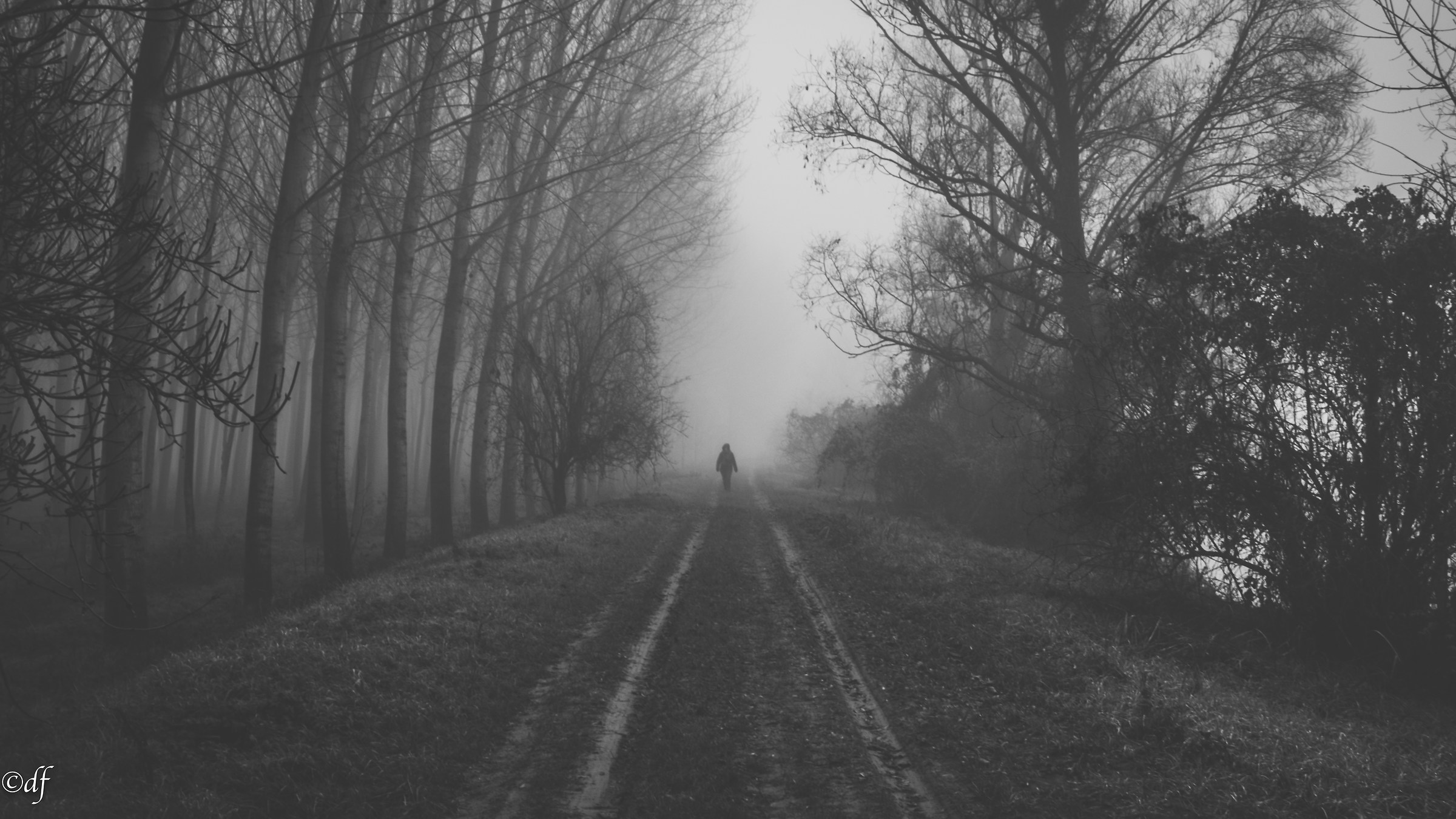 Passeggiata in solitaria