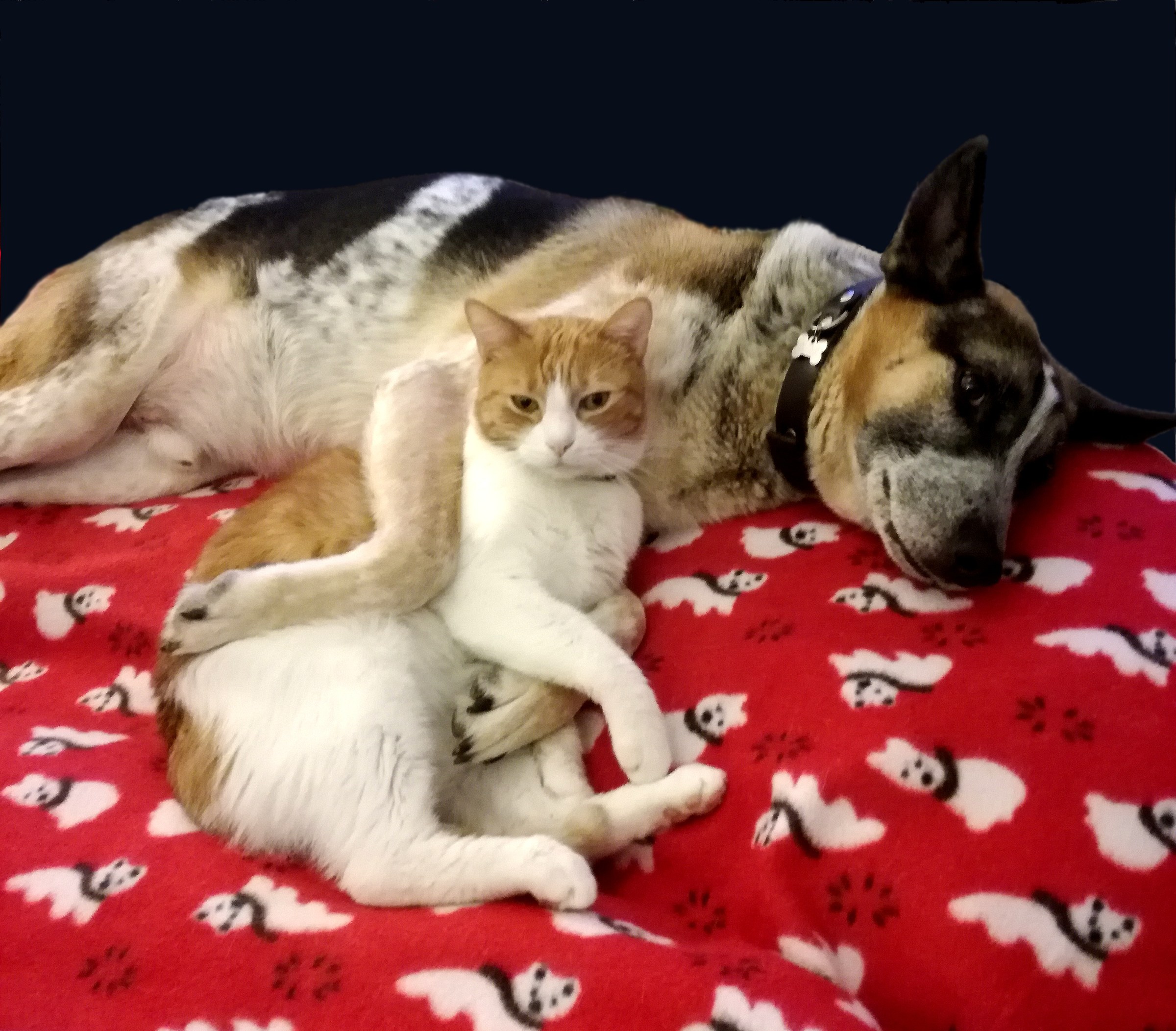 Relax with my best friend