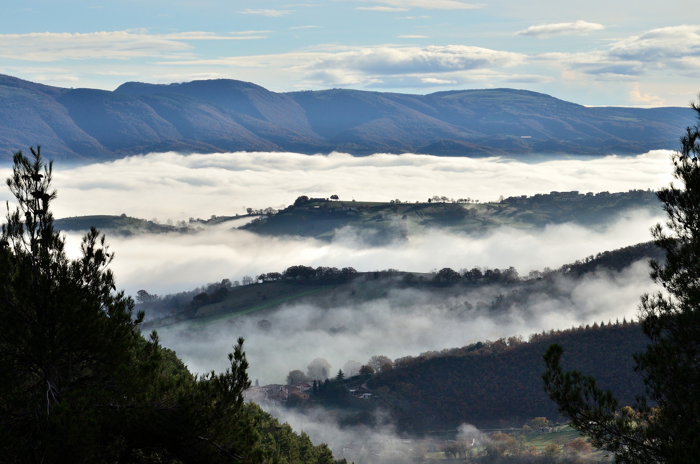 Colline marchigiane galleggianti!