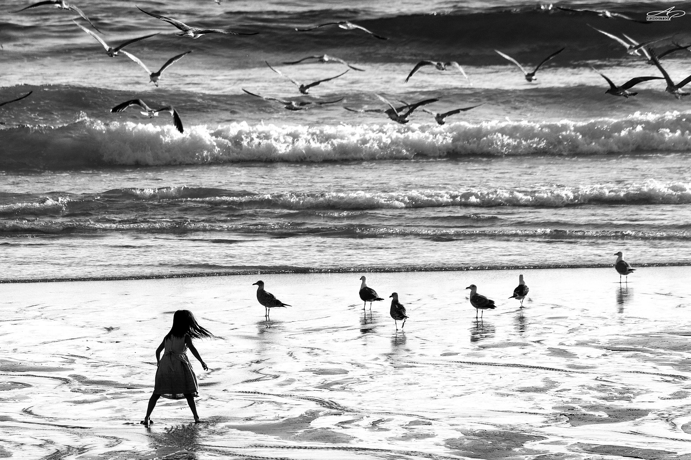 The flight Teacher (b/W version)