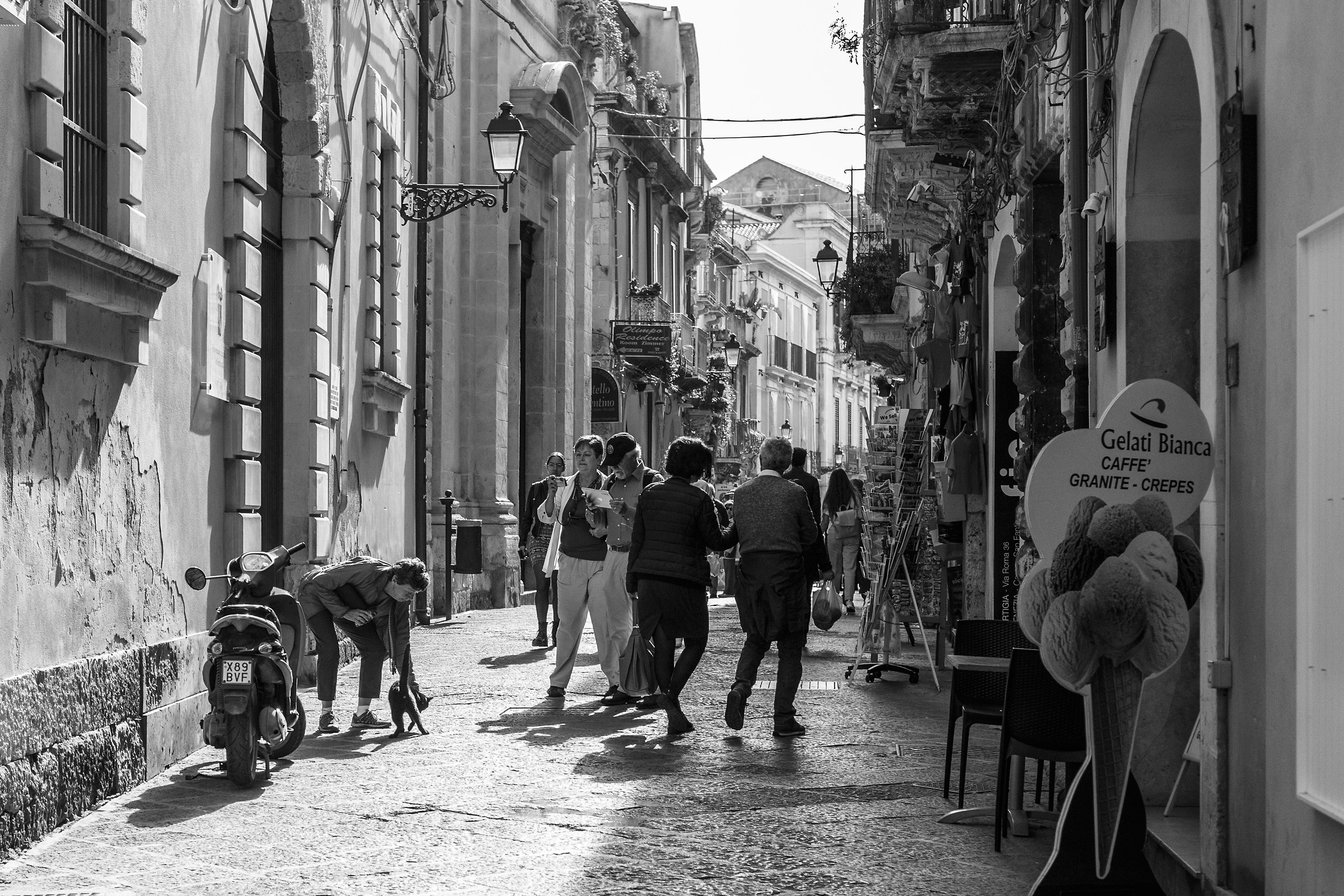 Don't touch the cat!