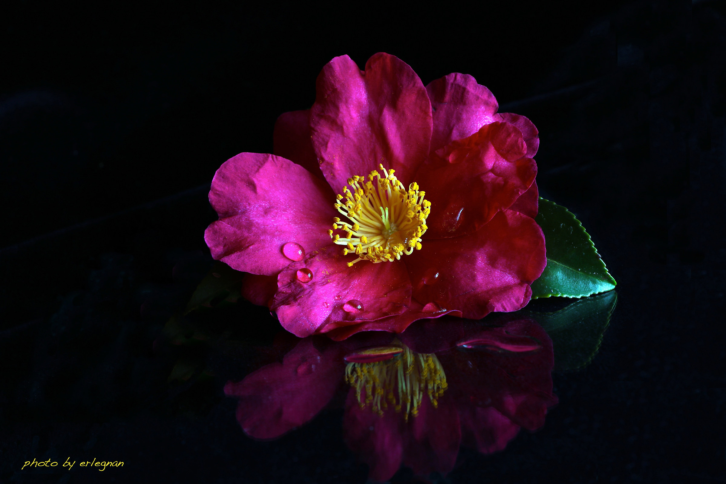 Testing with Canon 18/135 USM