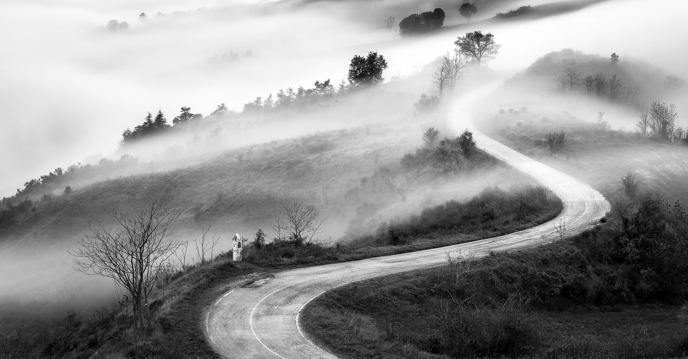 Nebbia tra le colline romagnole