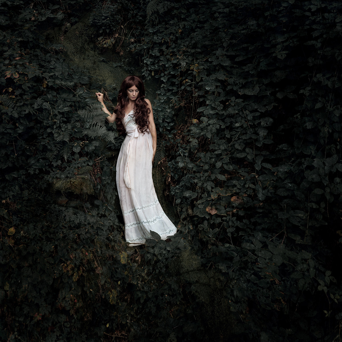 Out of the rabbit Hole