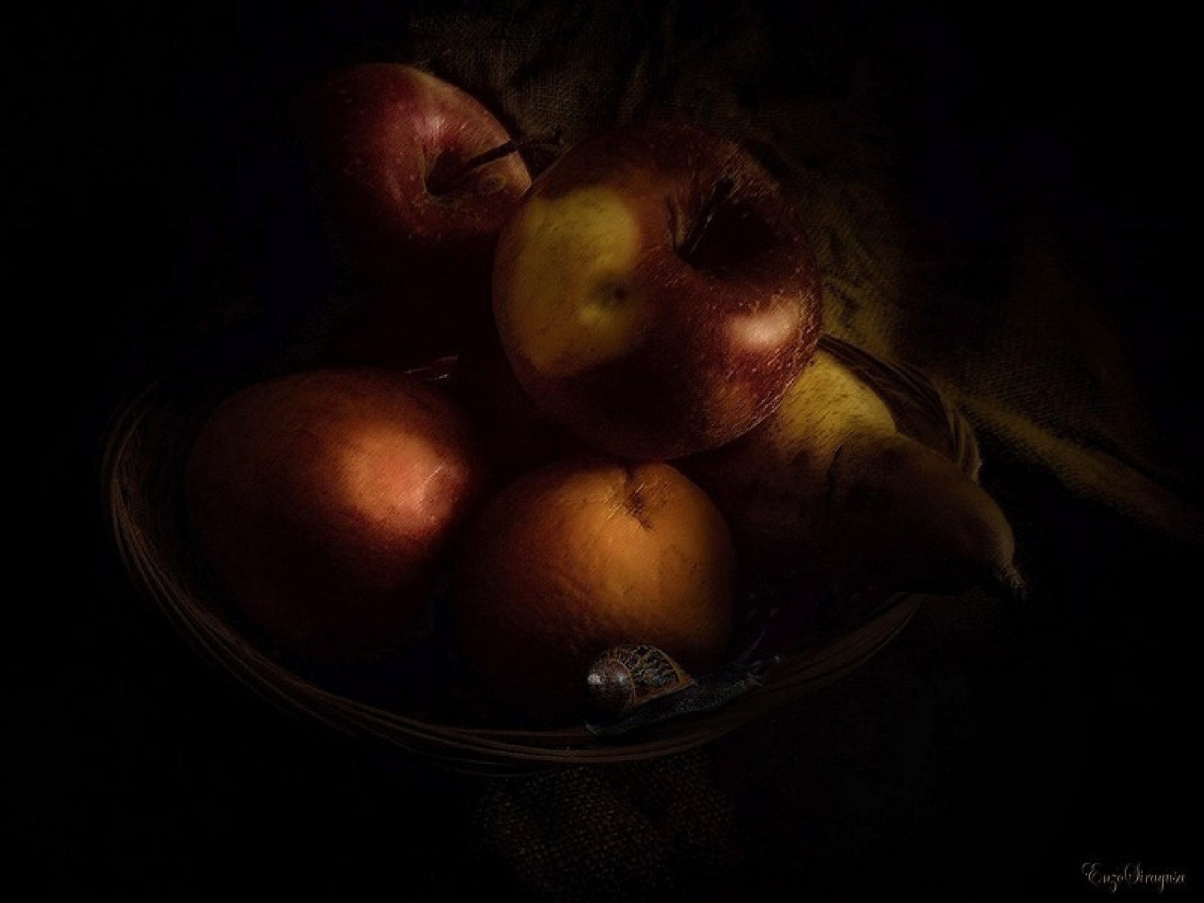 Still life