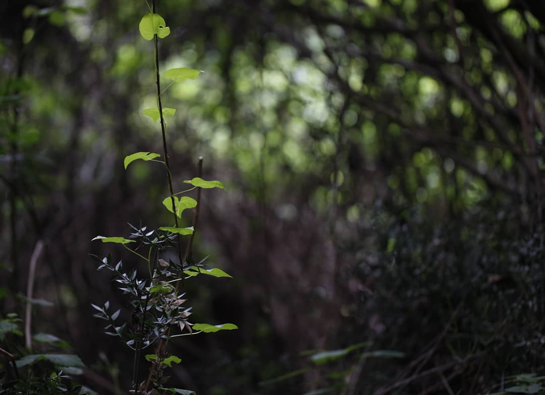 Uscita Il Tempo Ritrovato Corso Intermedio - Vicenza