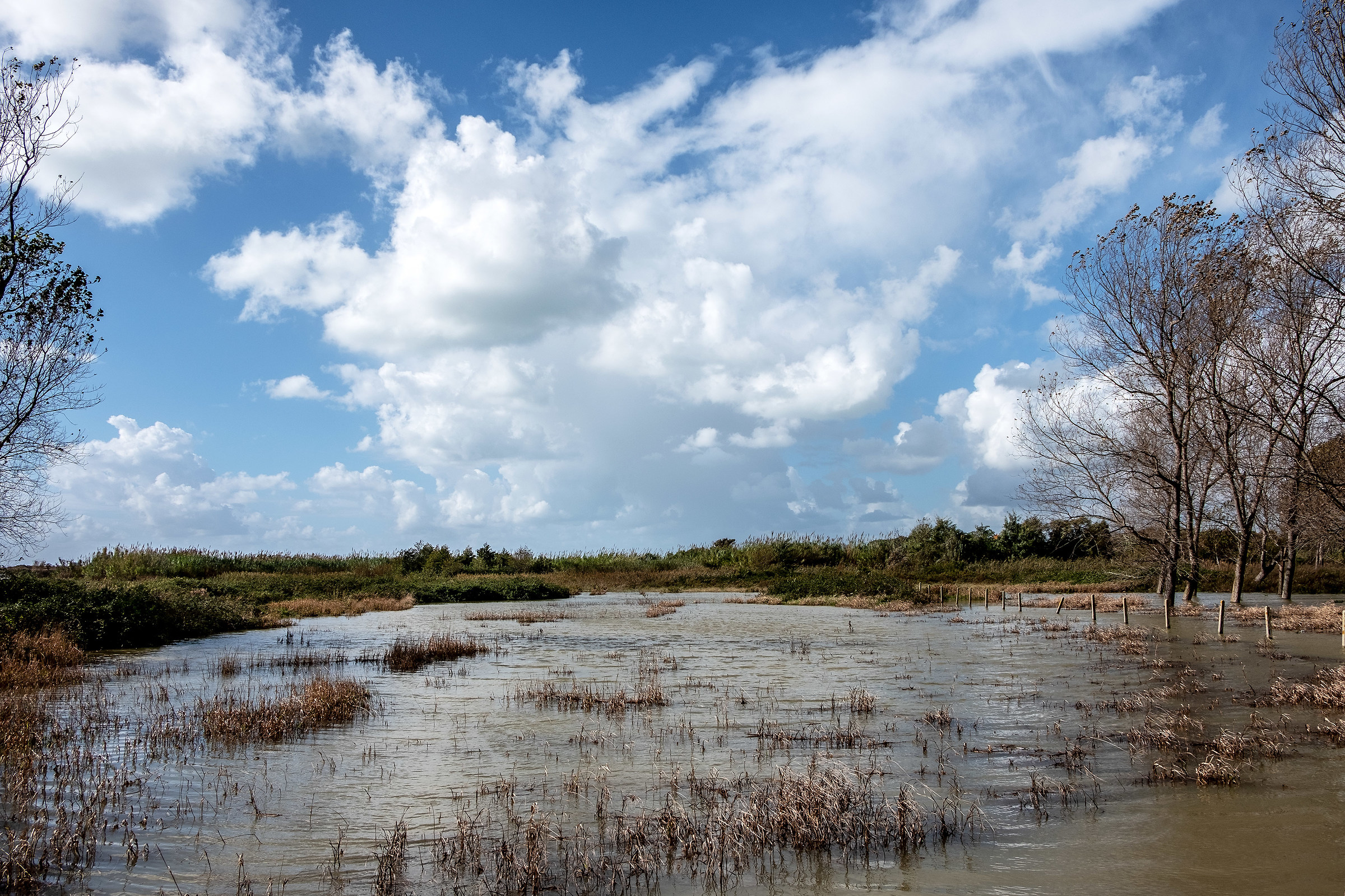 Alla foce del Garigliano