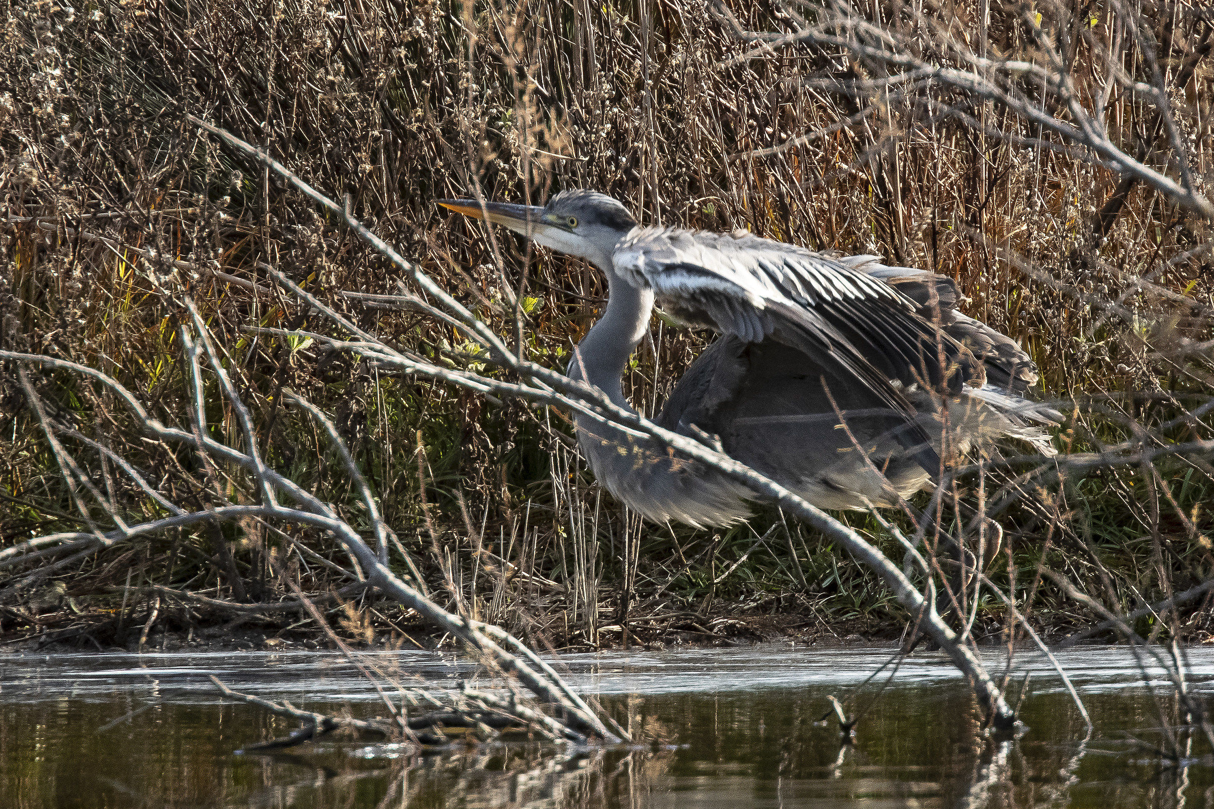In flight to the towel