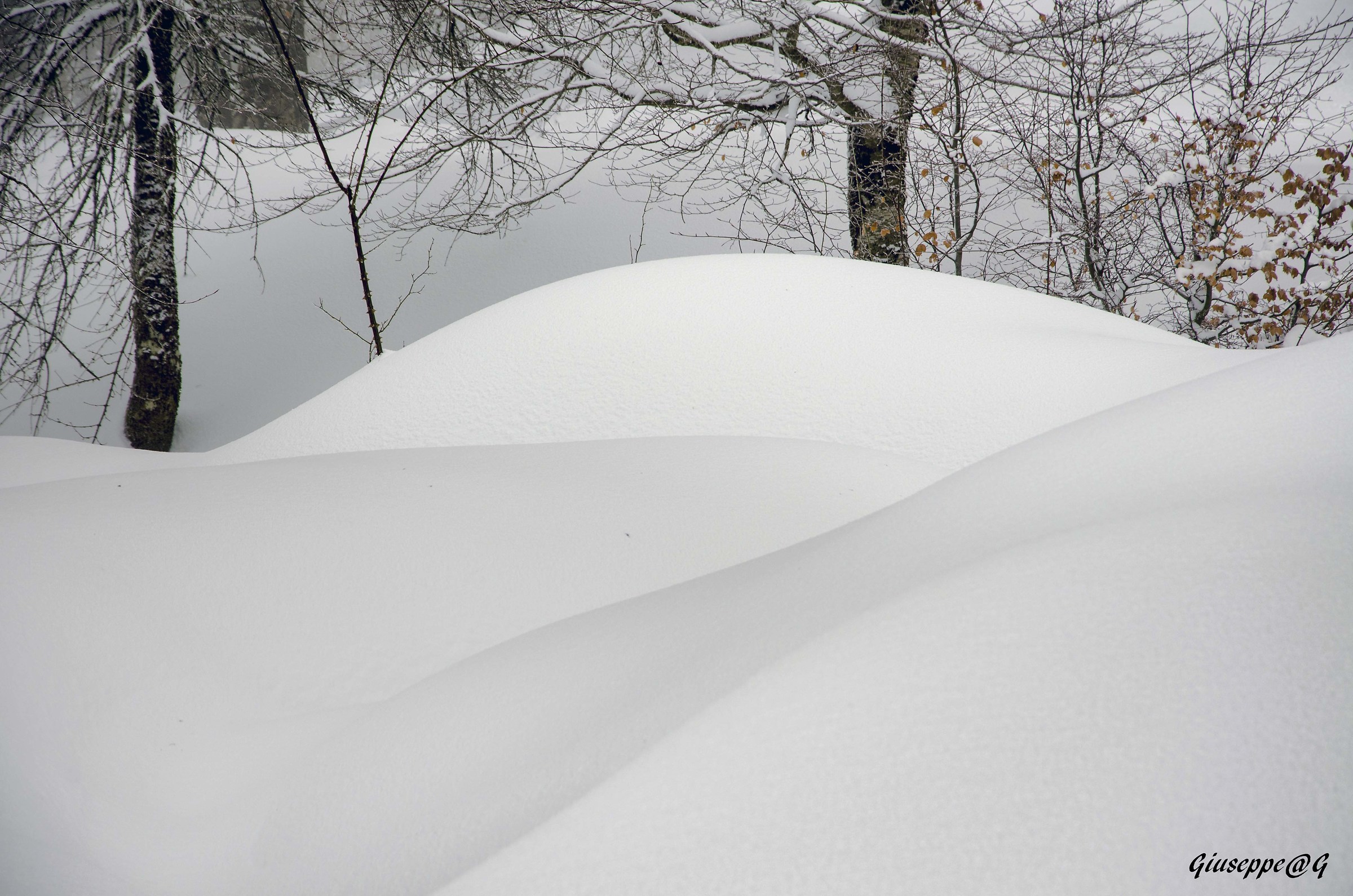 Snow Dunes