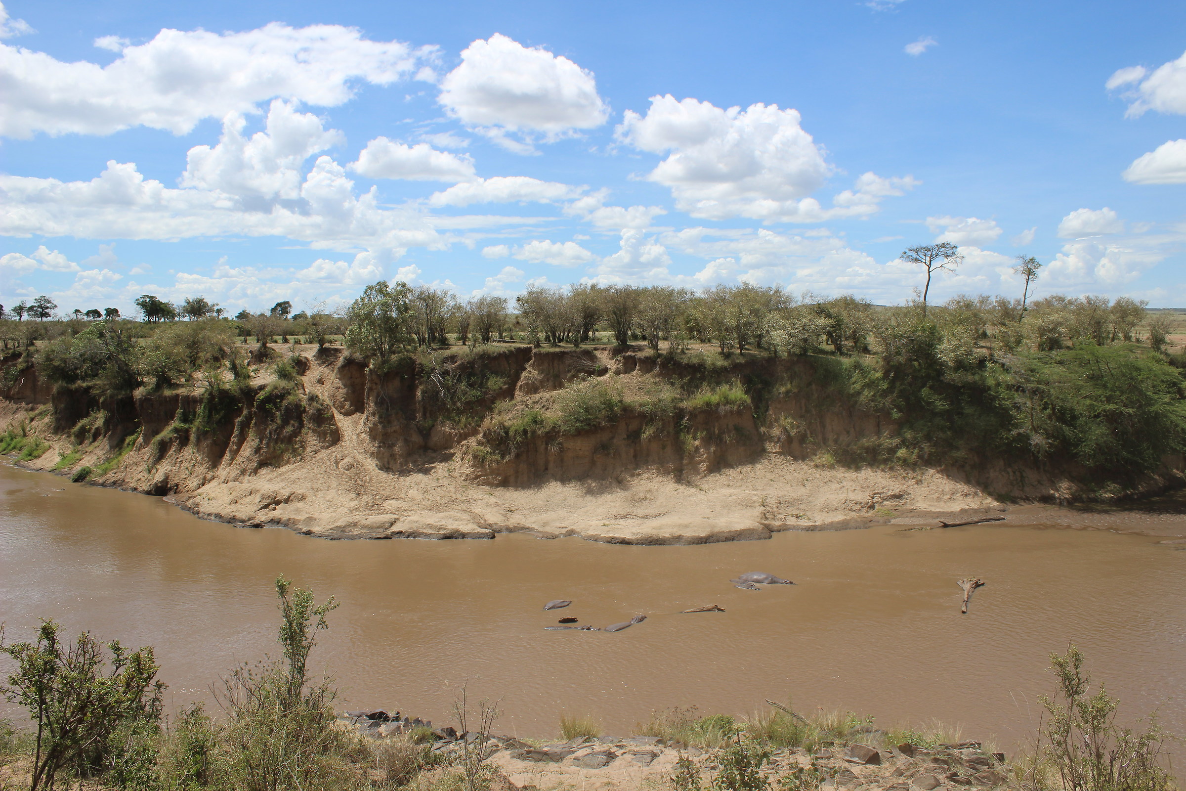 Fiume Mara al confine con la Tanzania