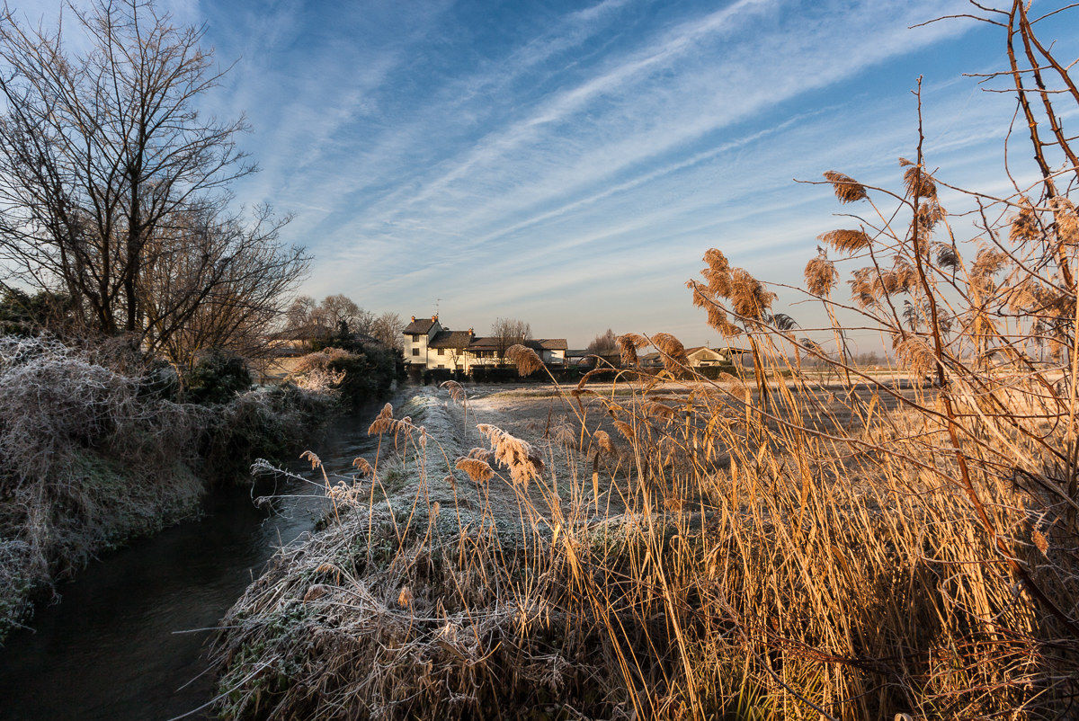 First lights on the Rogge Pavesi...