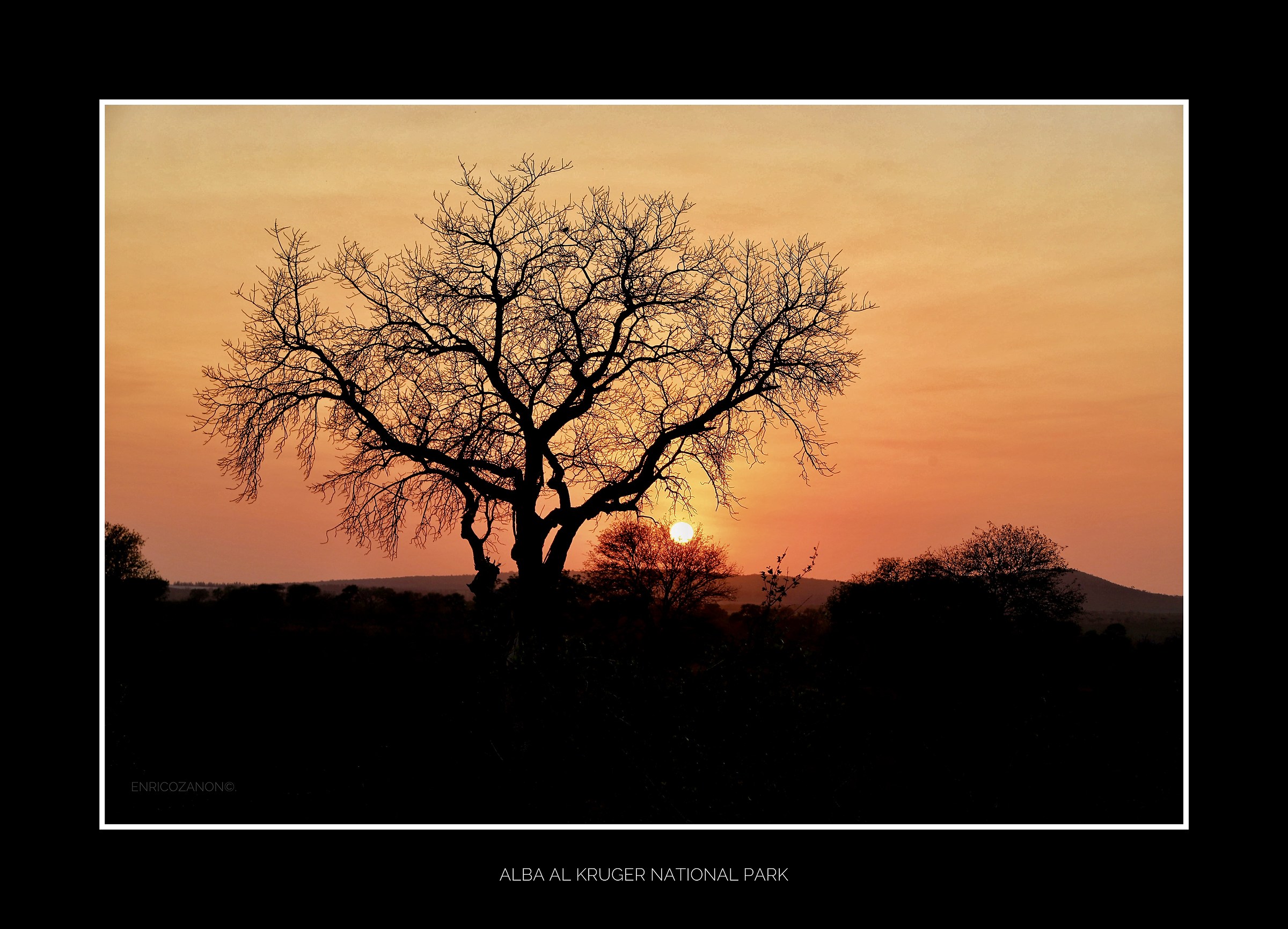 Kruger National Park