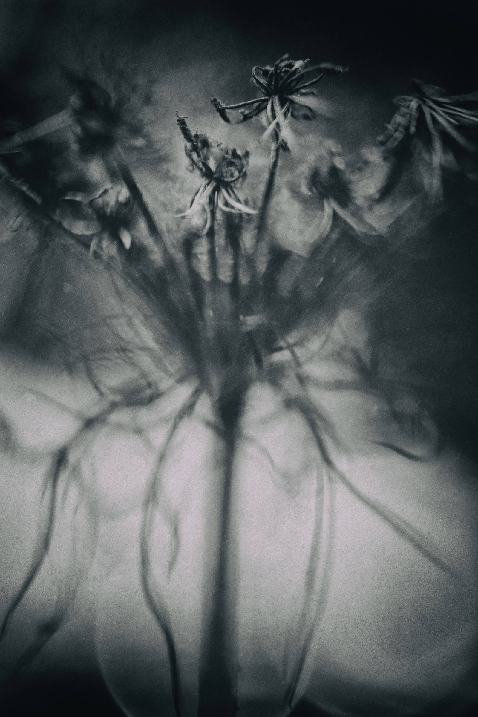 We can dance like freaks until the devil speaks