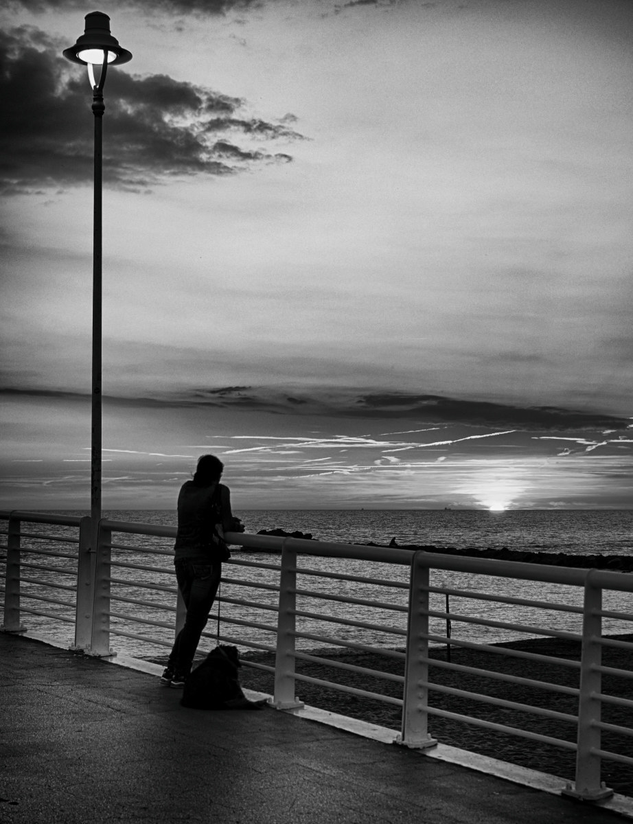 The quiet of the evening