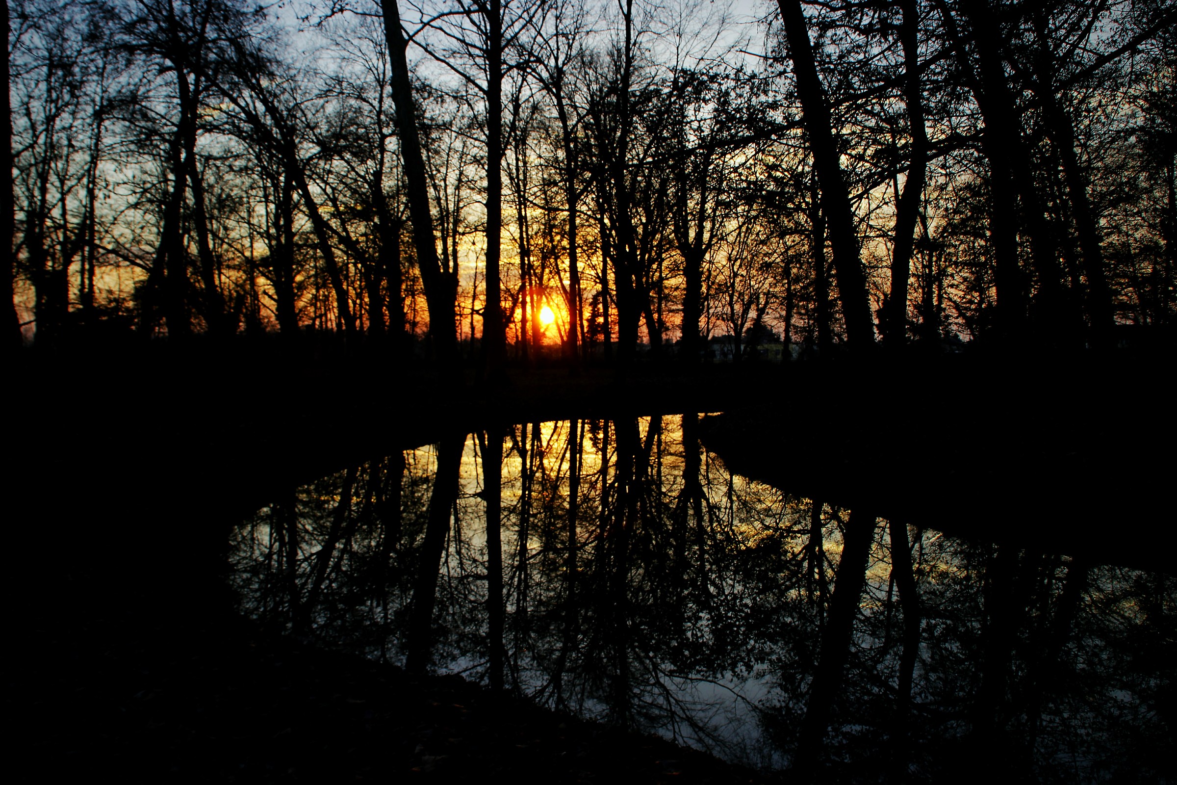 Riflessi al tramonto