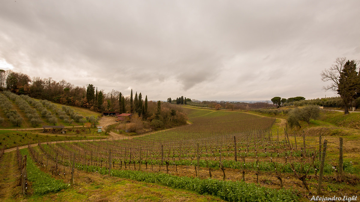 In giro per la Toscana