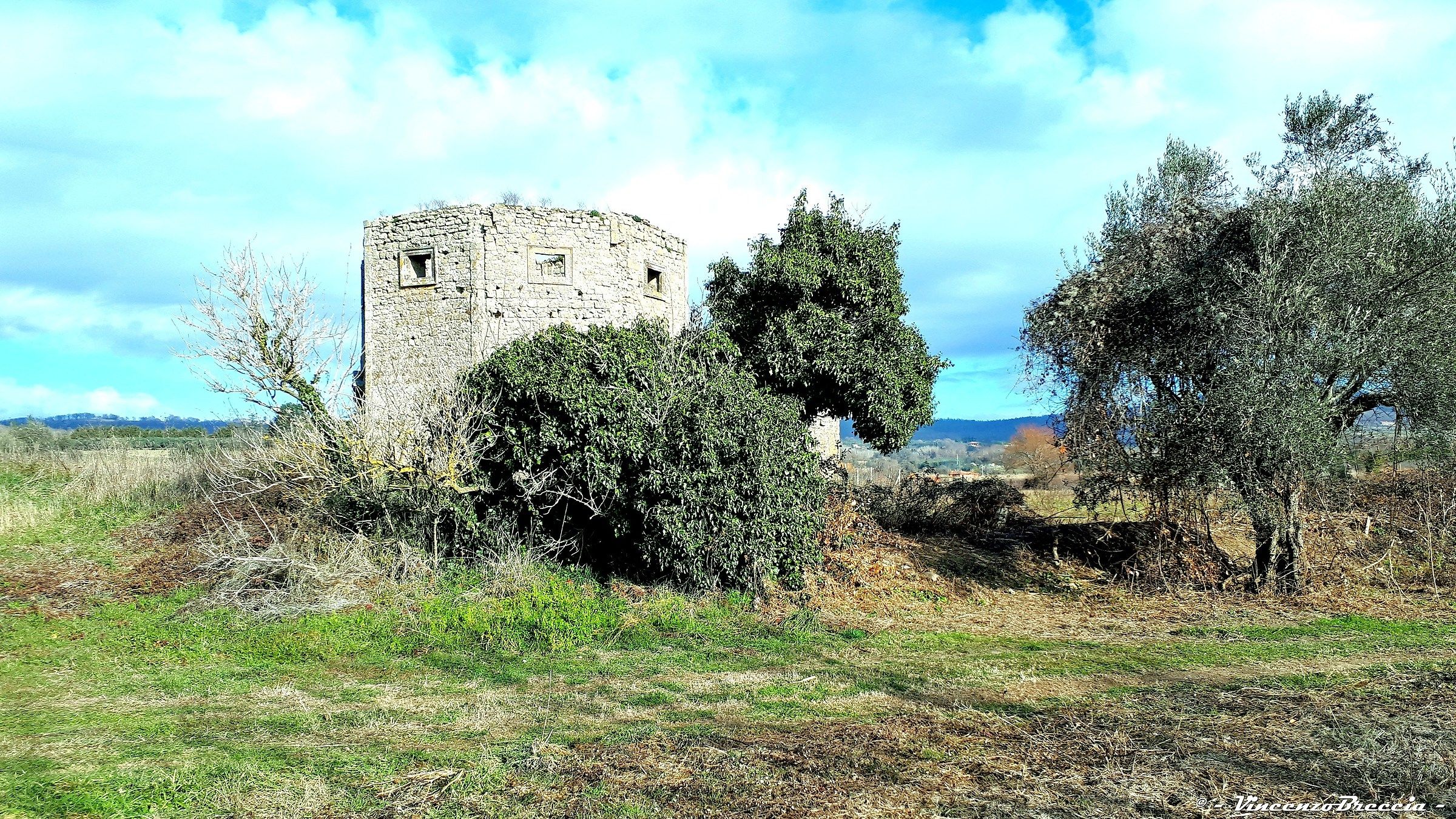 the vegetal caretaker