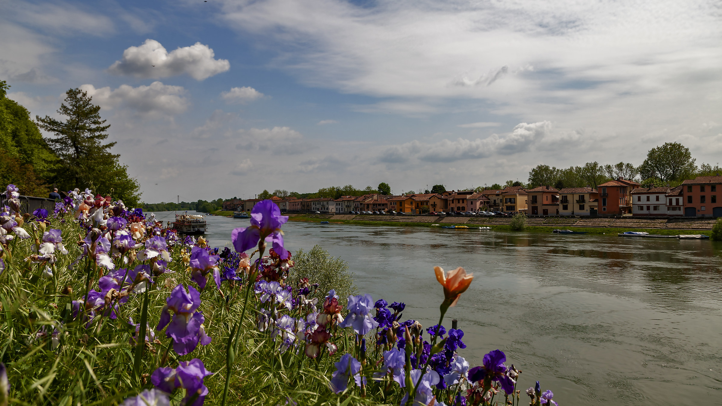 Ticino in fiore