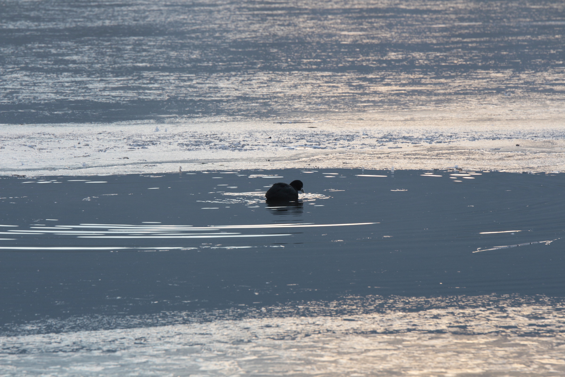 Sooner or later I find you.