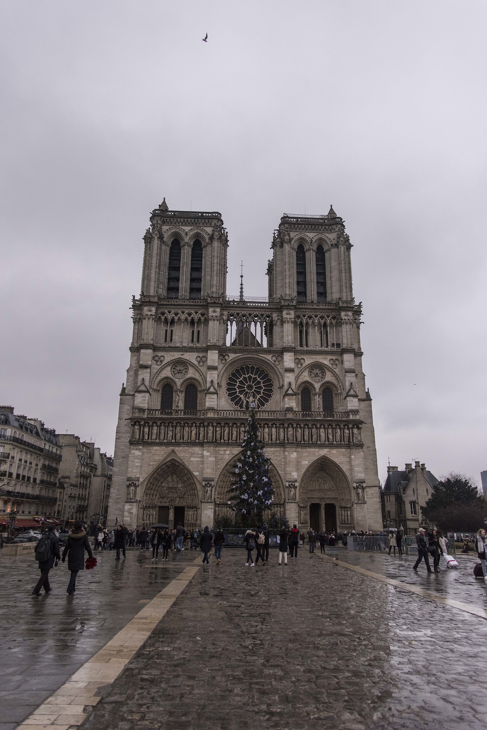 Notre Dame de Paris . .