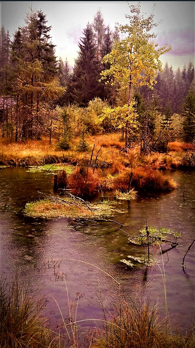 A little "autumn in South Tyrol-10-