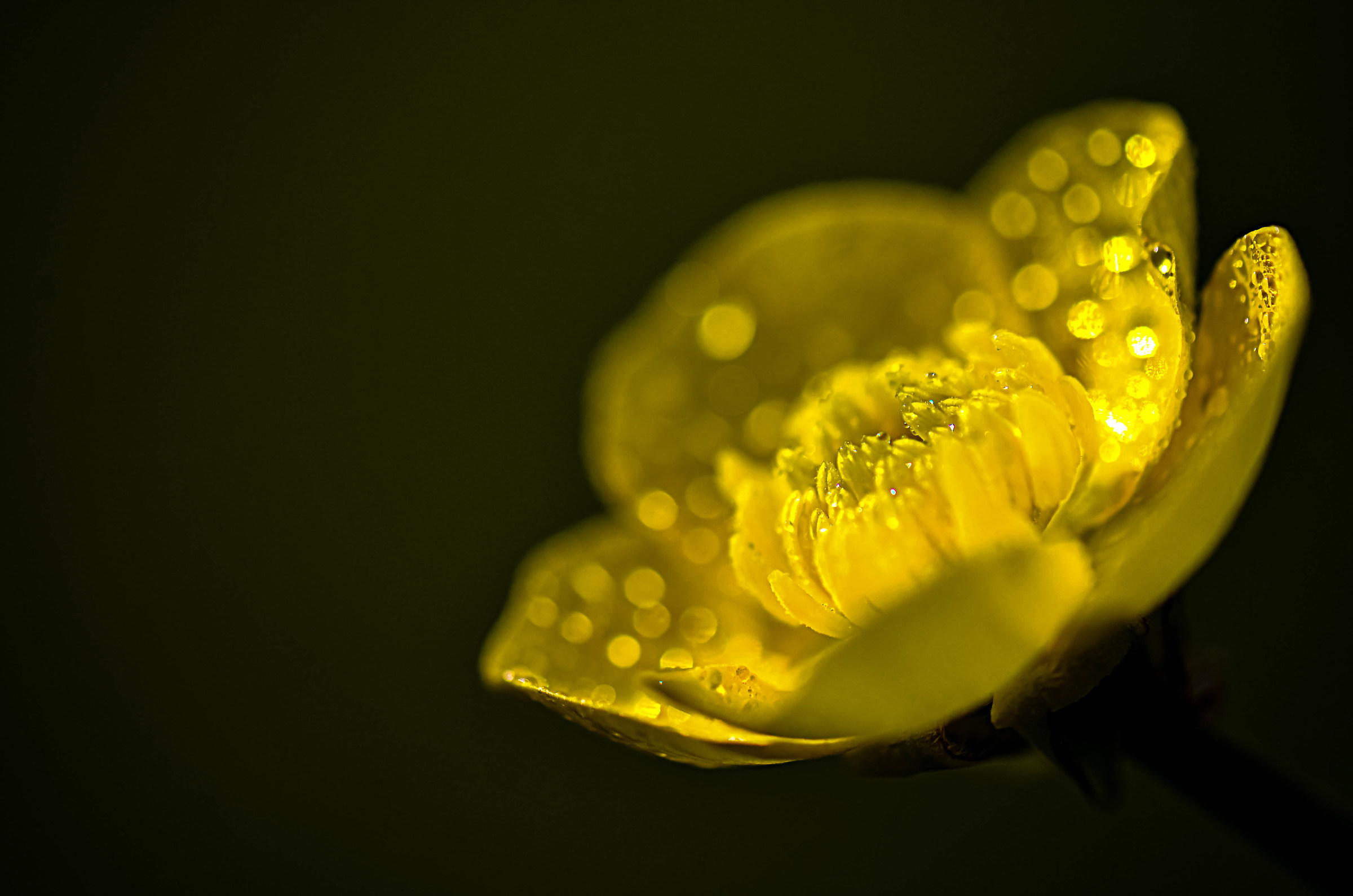 Close by, what you don't expect...